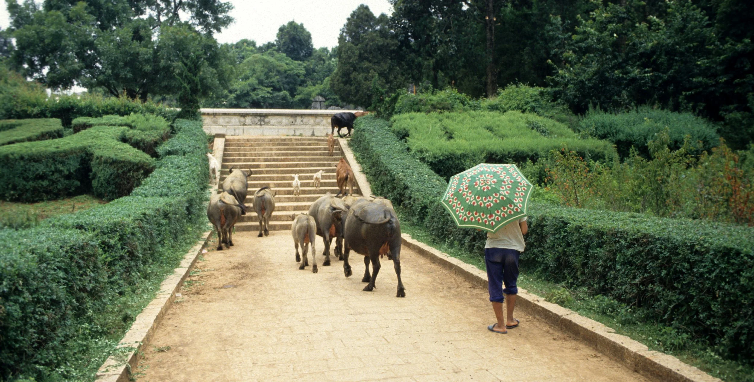 STONE FOREST - KUNMING CHINA.jpg