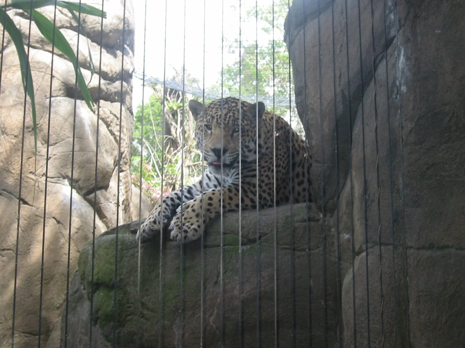 2003-4-1 SPRING TRIP TO SACRAMENTO (39).JPG