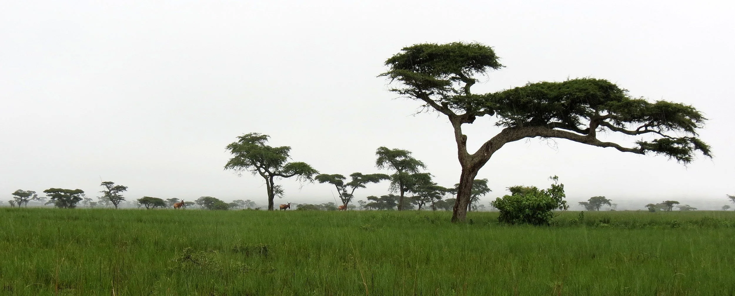 SENKELE SANCTUARY ETHIOPIA (71).JPG