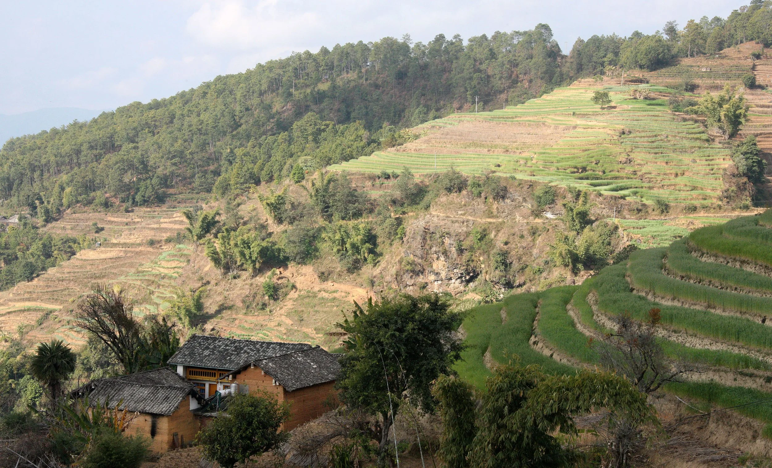 YUNNAN - WULIANGSHAN NATURE RESERVE AND SURROUNDING REGION (2).JPG