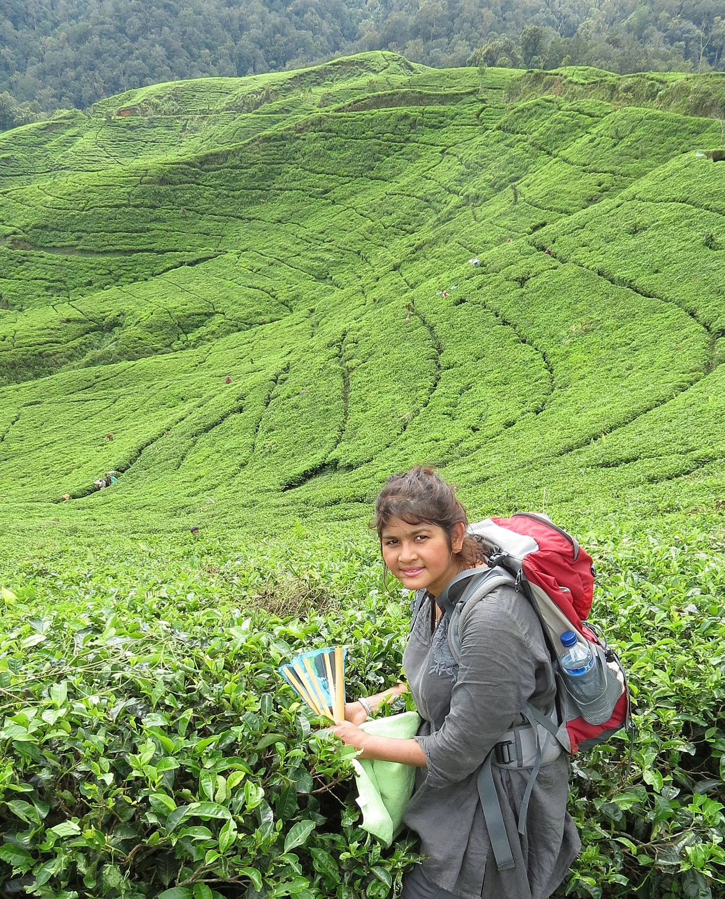 HALIMUN  NATIONAL PARK - JAVA BARAT INDONESIA (21).JPG