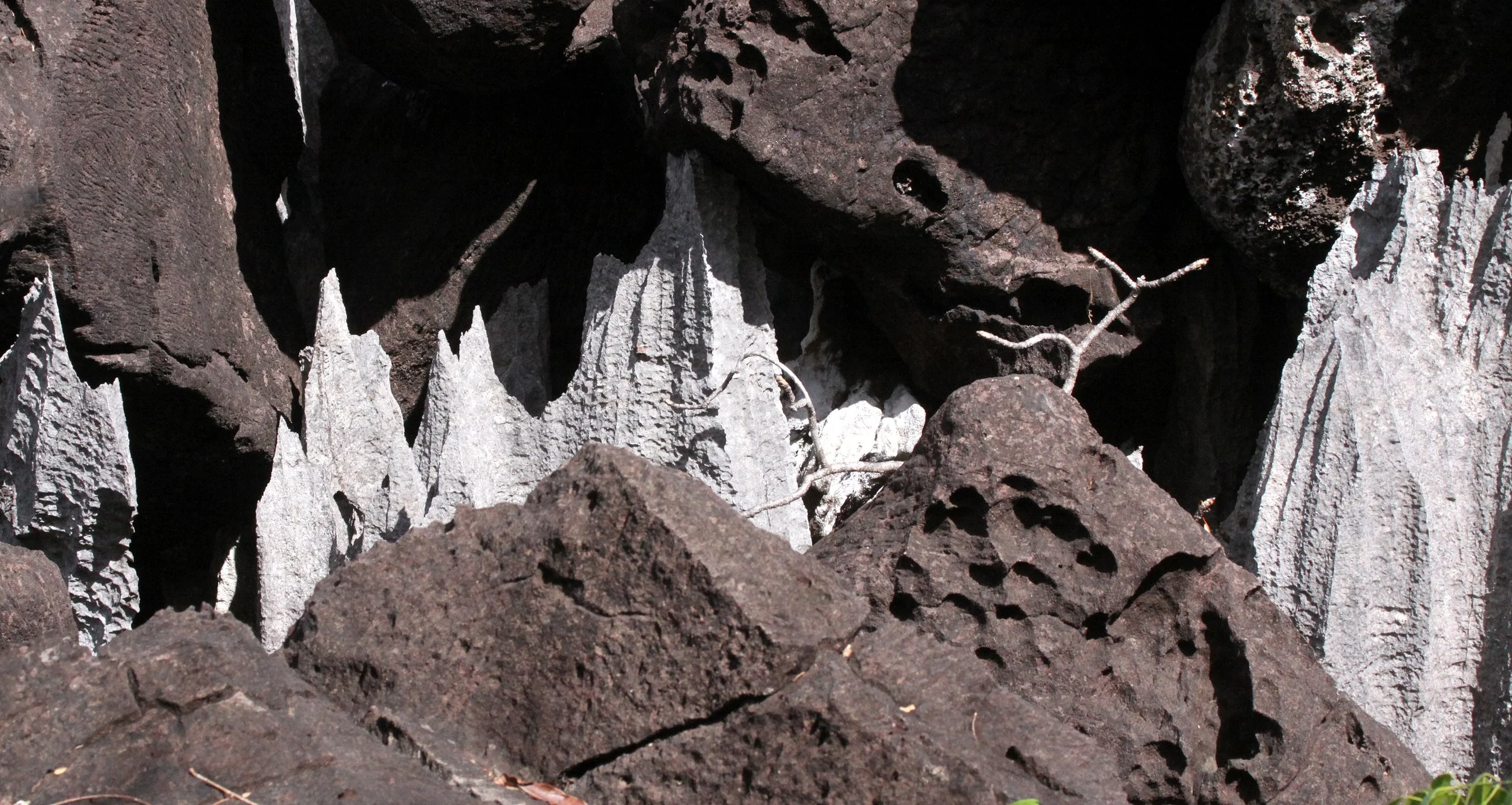 ANKARANA NATIONAL PARK MADAGASCAR - TSINGY FOREST (41).JPG