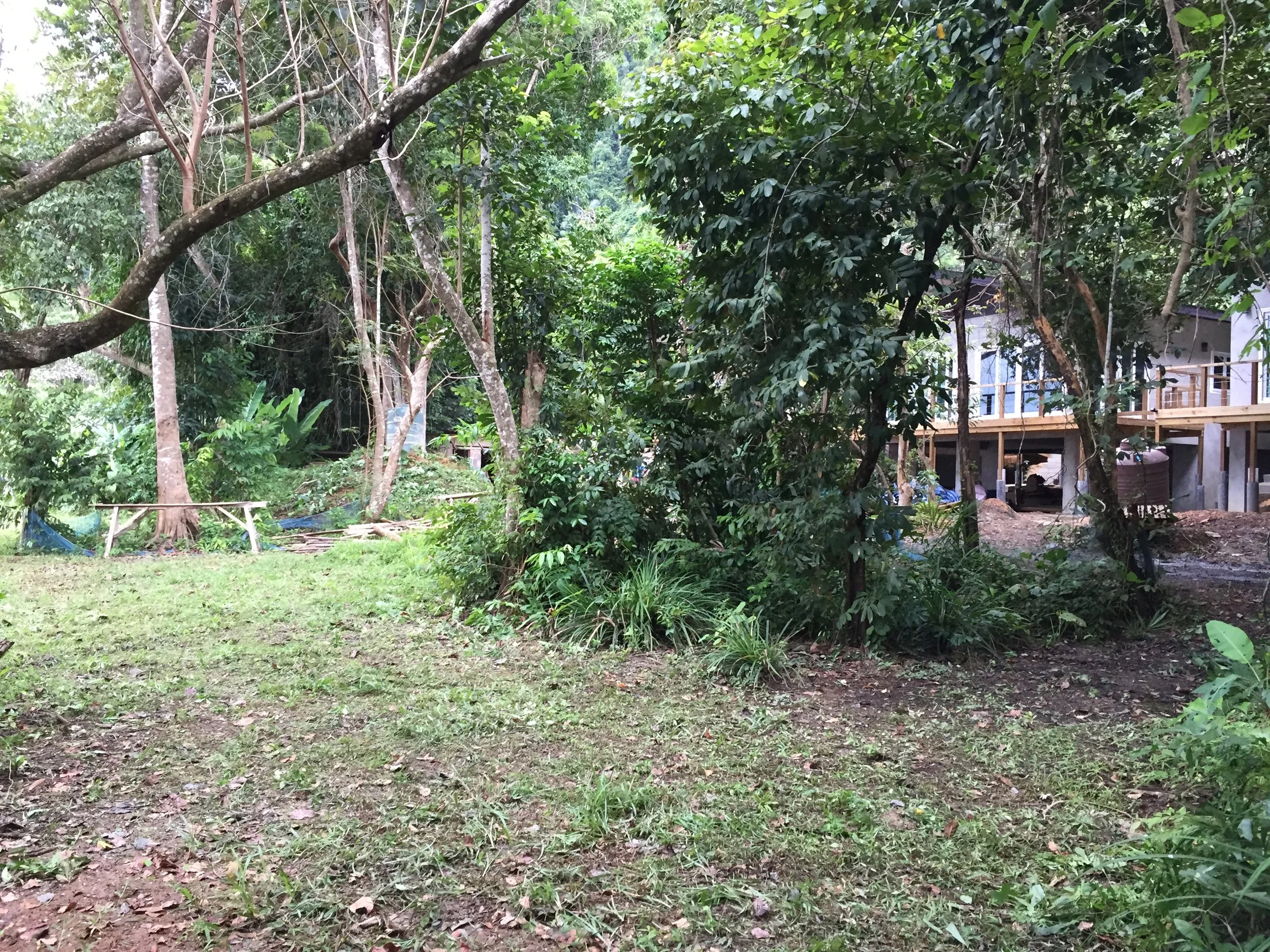 2015 Koh Lanta Garden & Nature (183).JPG