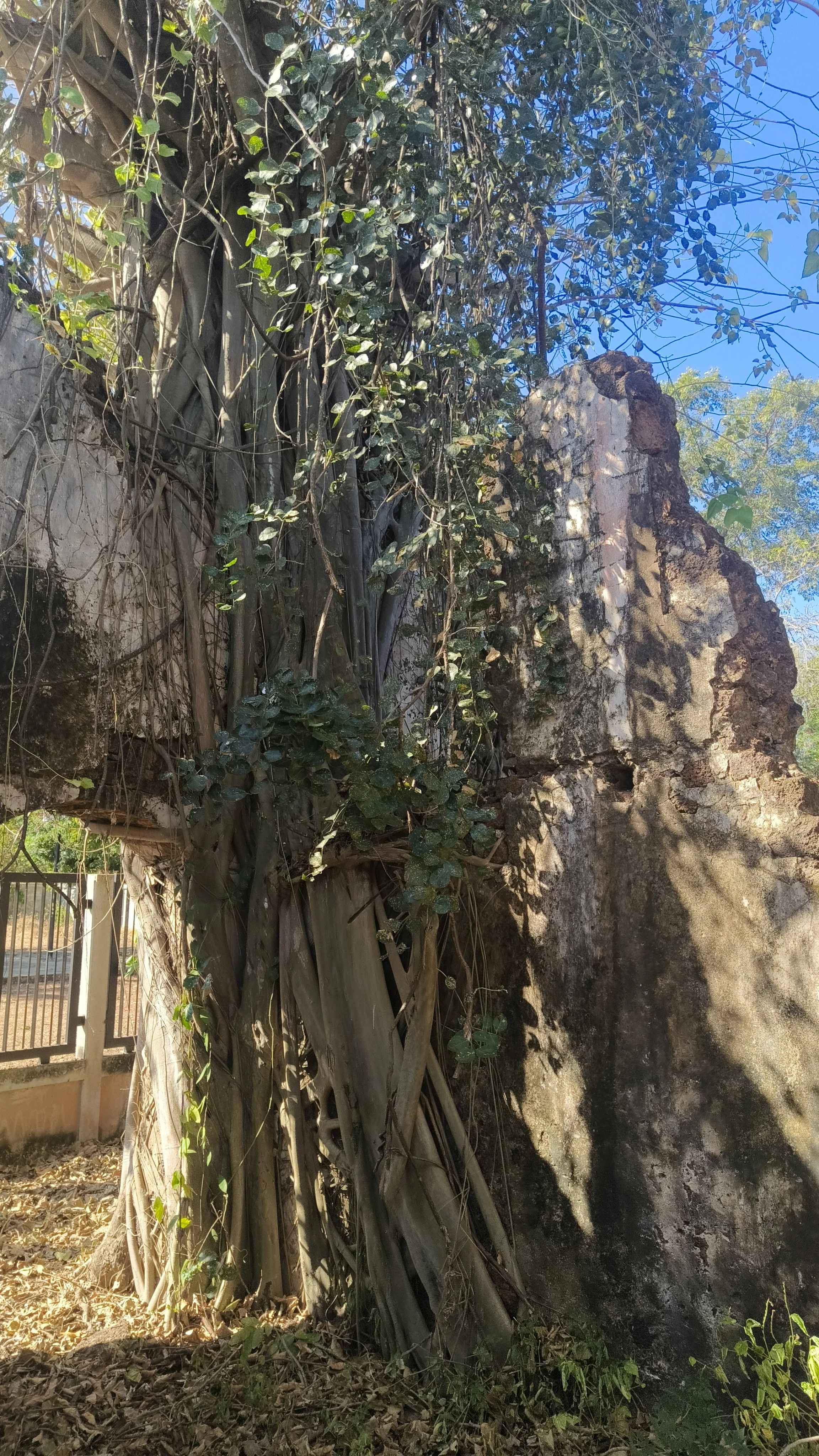 Stone House - Sakon Nakhon Province (3).jpg