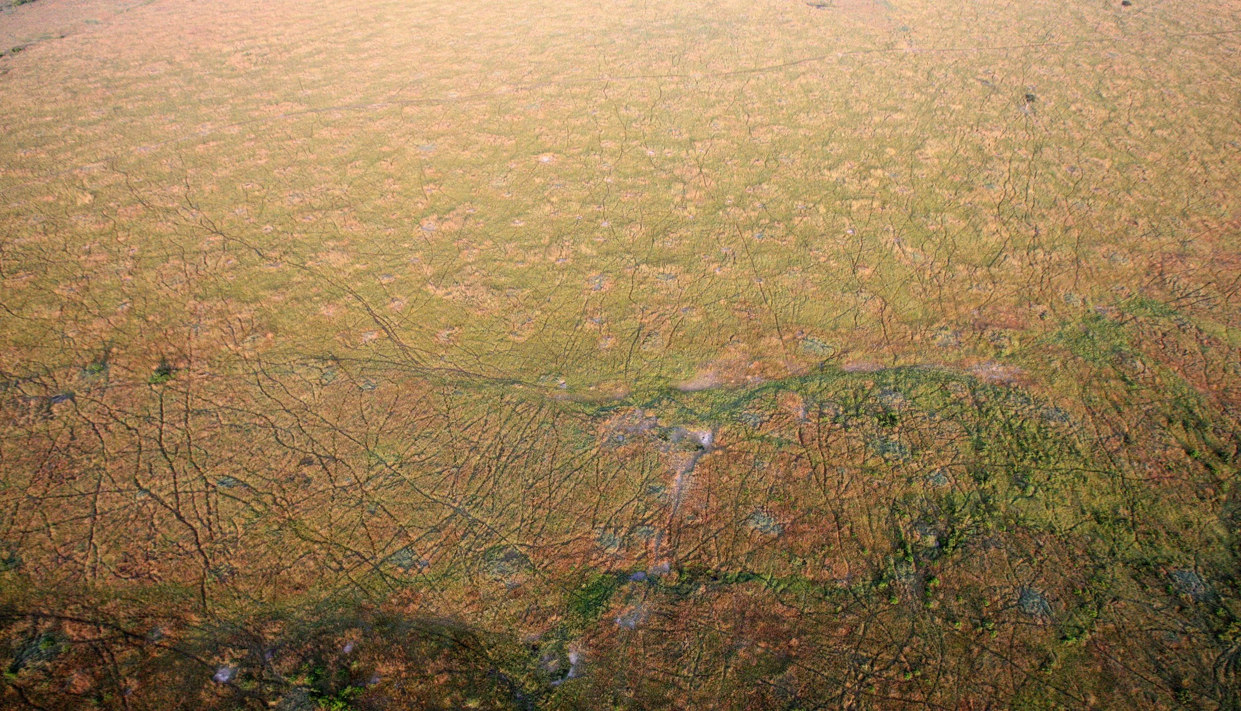 MASAI MARA NATIONAL PARK KENYA (112).JPG