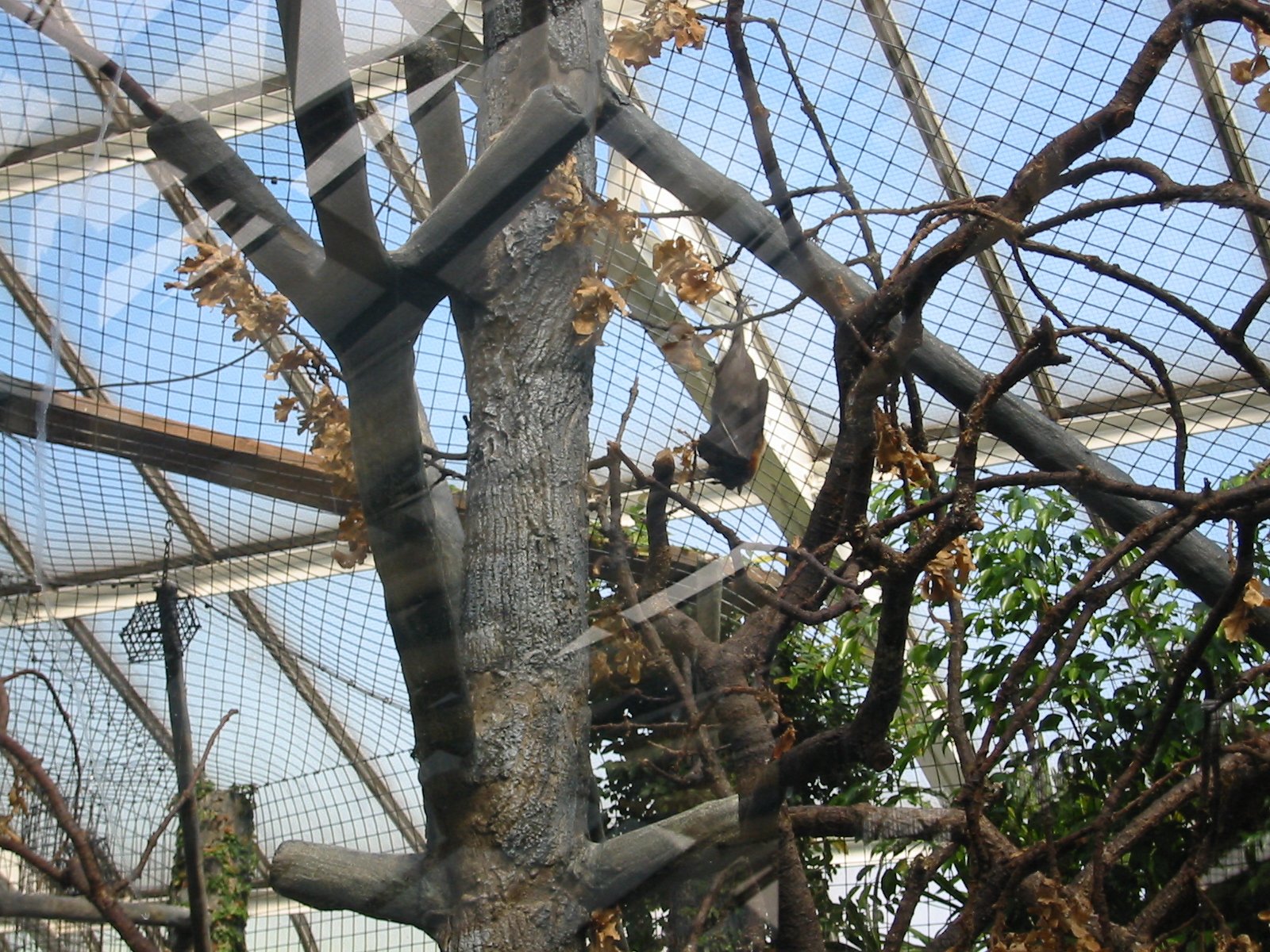 2003-8-3 WASHINGTON VISIT WITH THE ROBINSONS (33).JPG