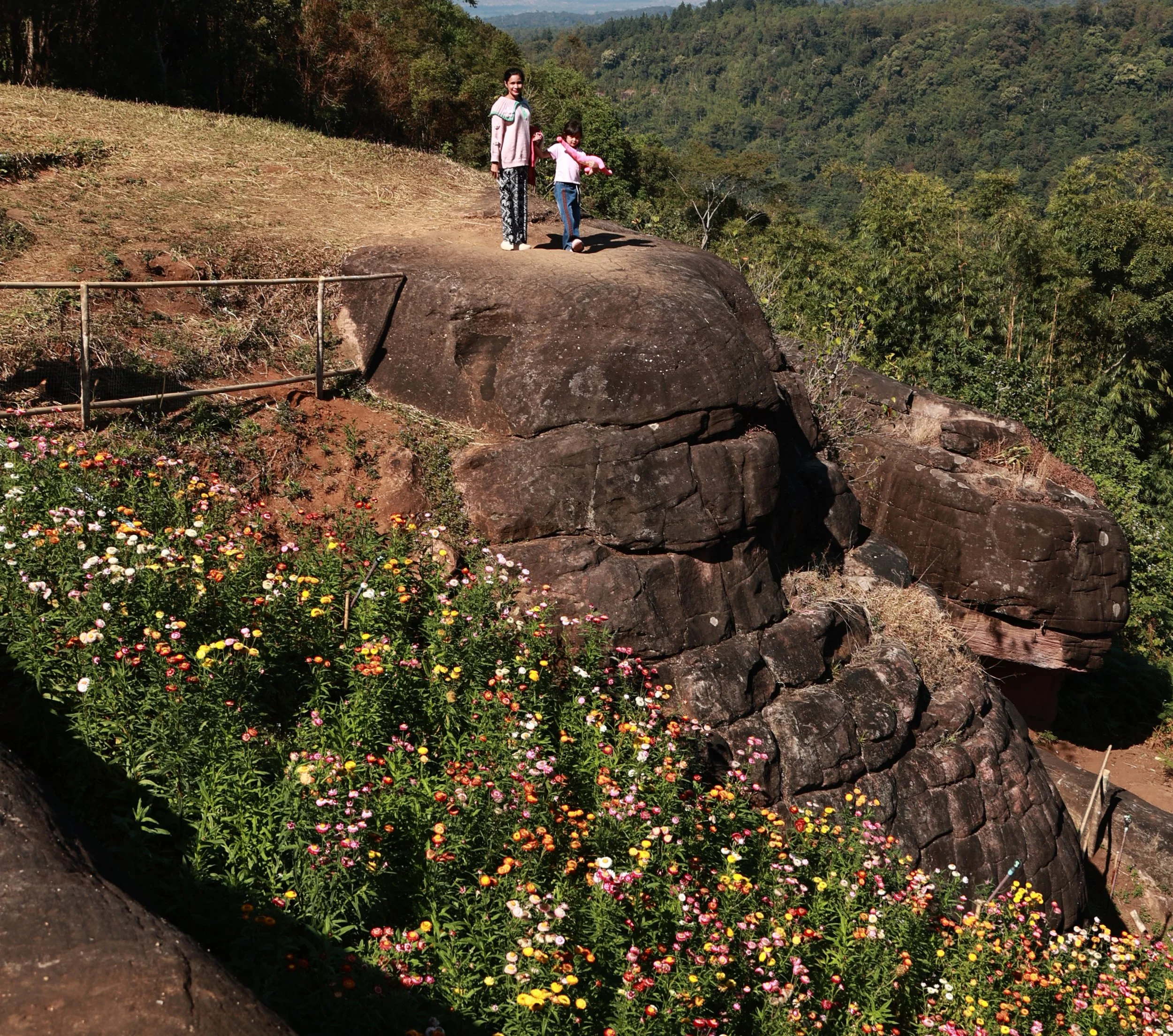 Phu Hin Rong Kla National Park Loei Province (11).jpg