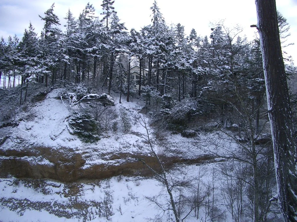 2004-1-3 LAKE FARM IN SNOW (23).JPG