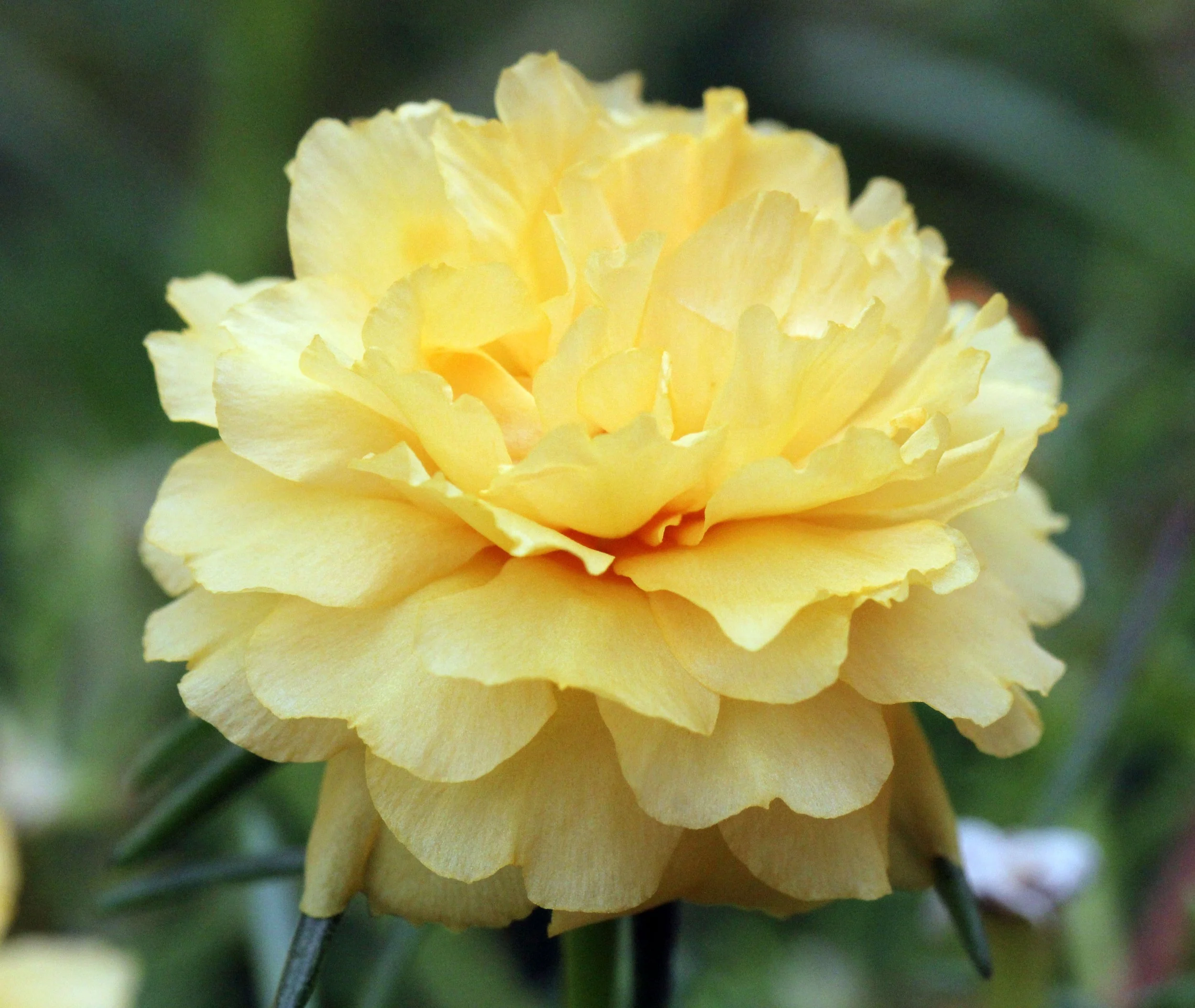 2013 Cha'am and Petchaburi with Family & Friends (42).JPG