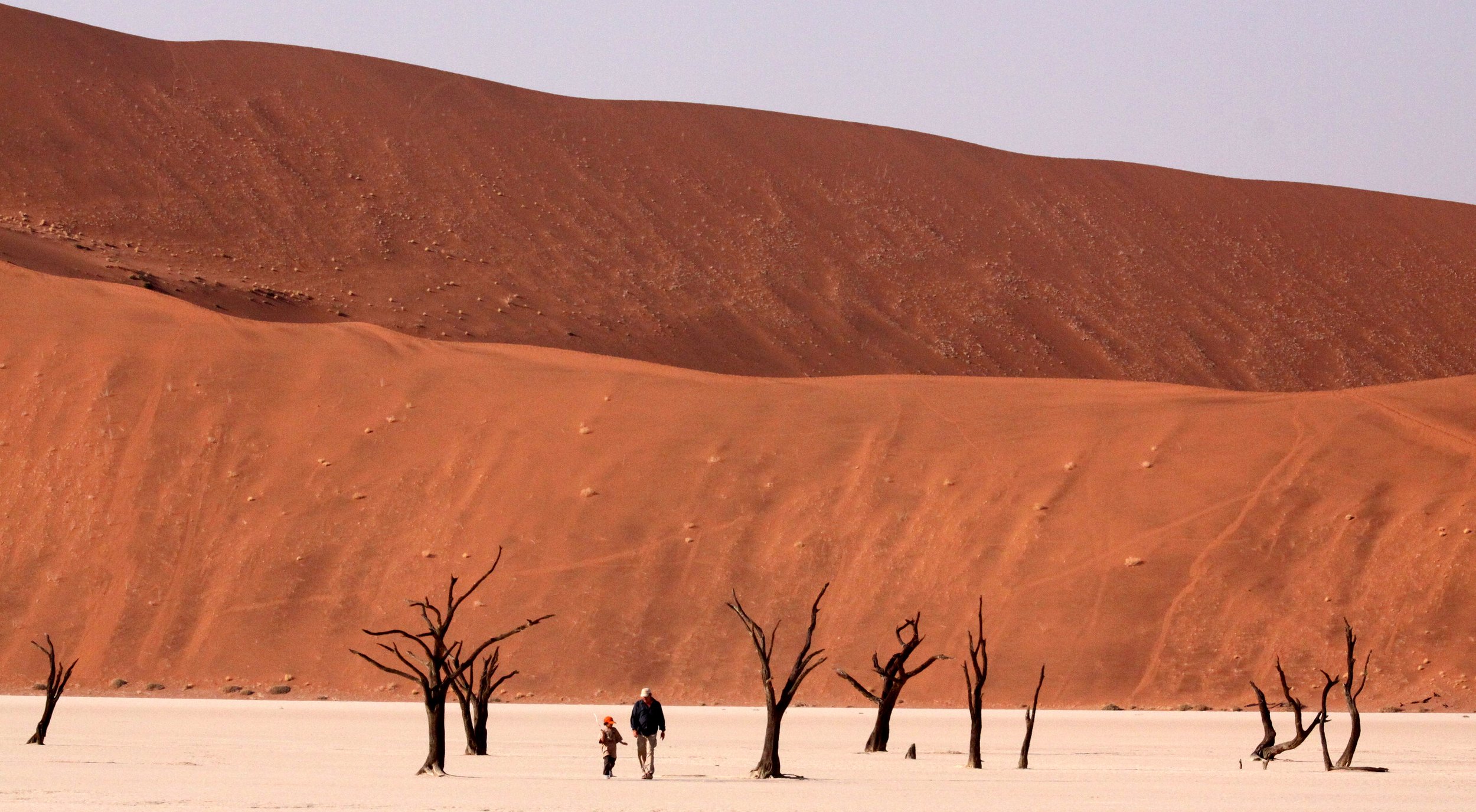 SOSSUSVLEI, NAMIB NAUKLUFT NATIONAL PARK, NAMIBIA - DEAD VLEI (49).JPG
