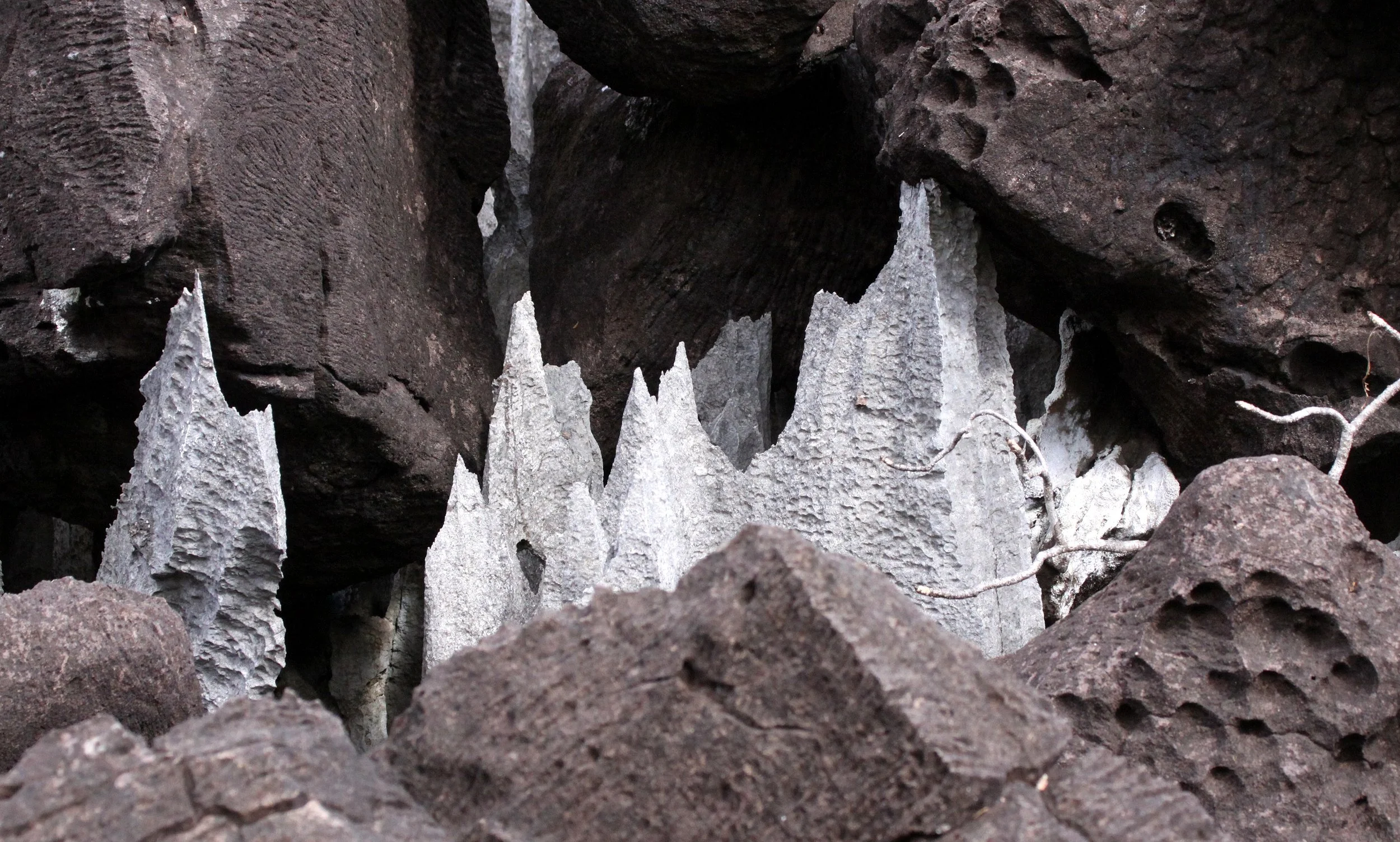 ANKARANA NATIONAL PARK MADAGASCAR - TSINGY FOREST (53).JPG