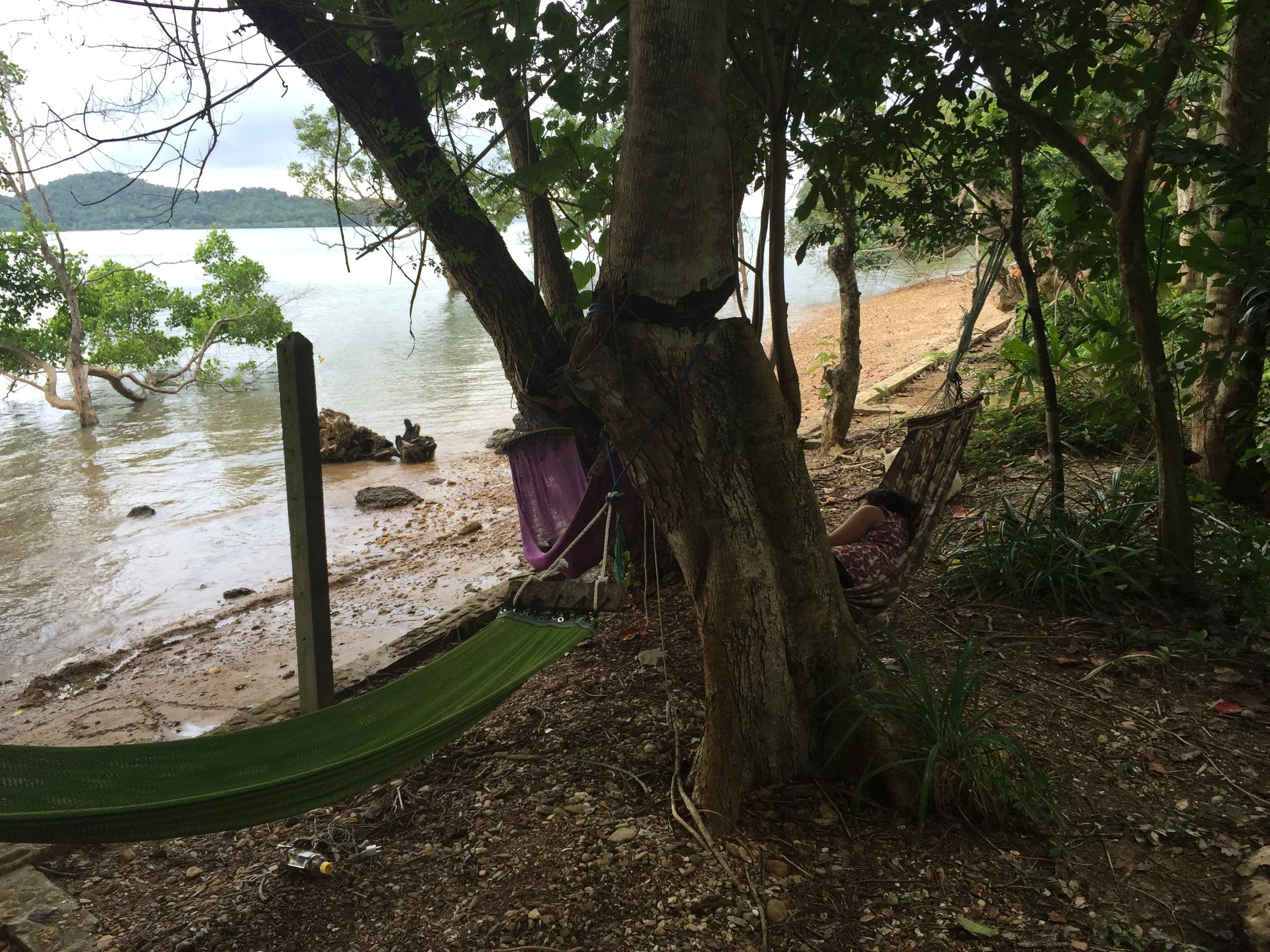 2015 Koh Lanta Garden & Nature (275).JPG