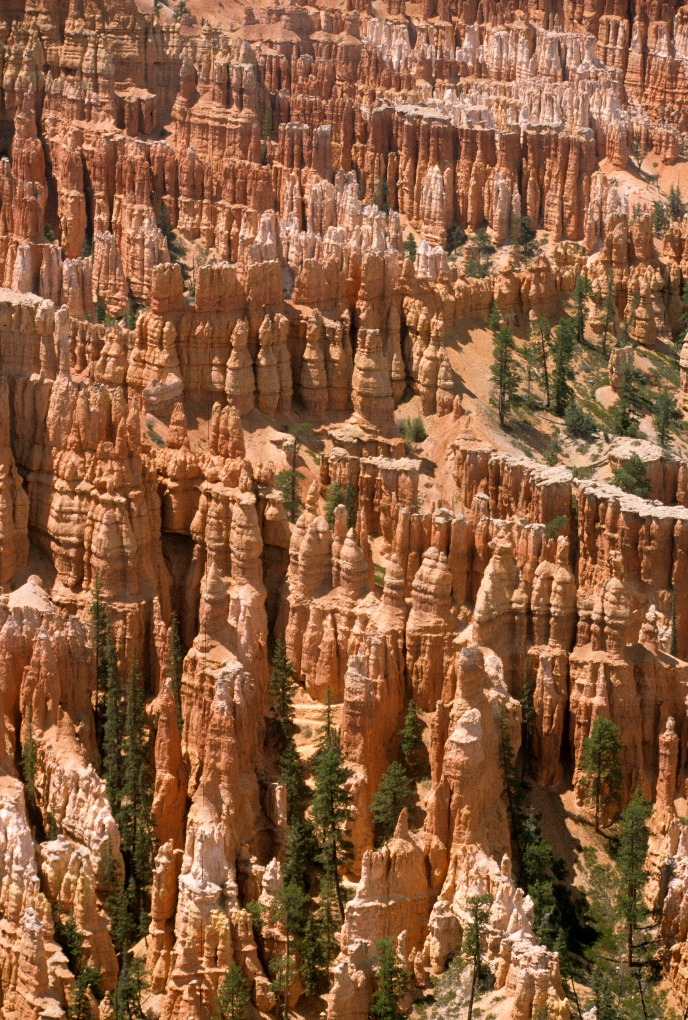 UTAH - BRYCE CANYON (2).jpg