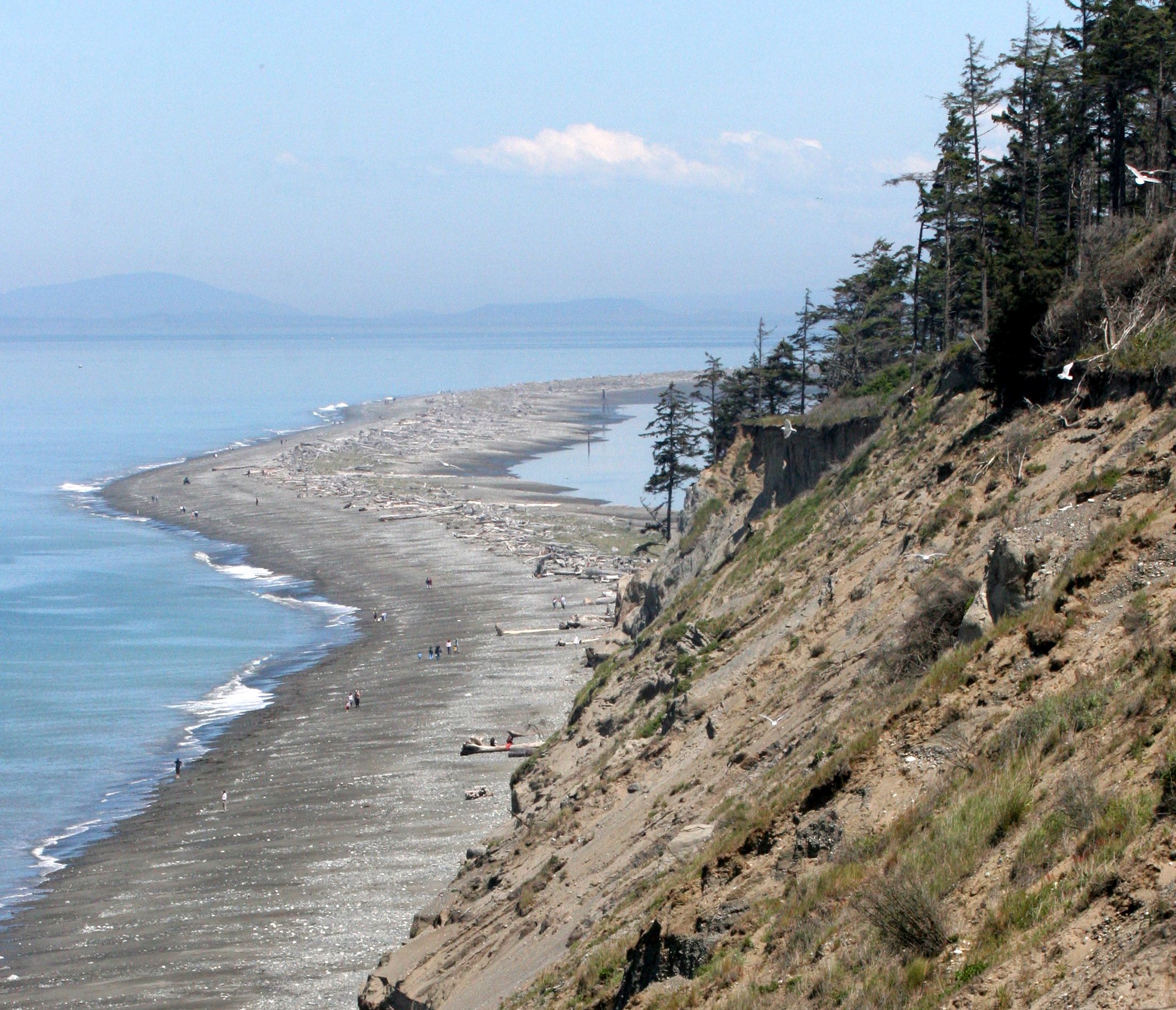 DUNGENESS SPIT (4).JPG