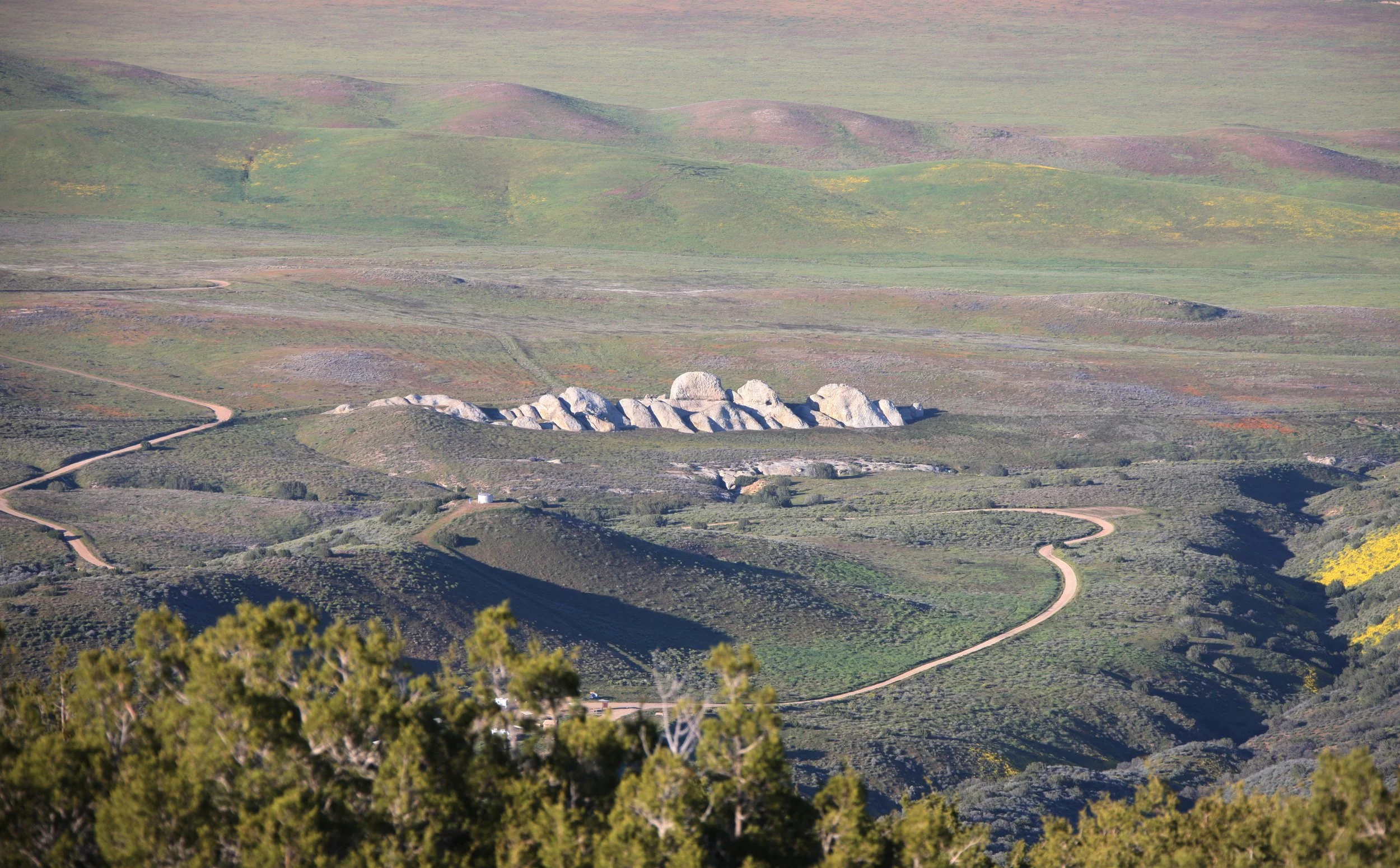 CARRIZO PLAIN NATIONAL MONUMENT - VIEWS OF THE REGION - ROADTRIP 2010 (37).JPG