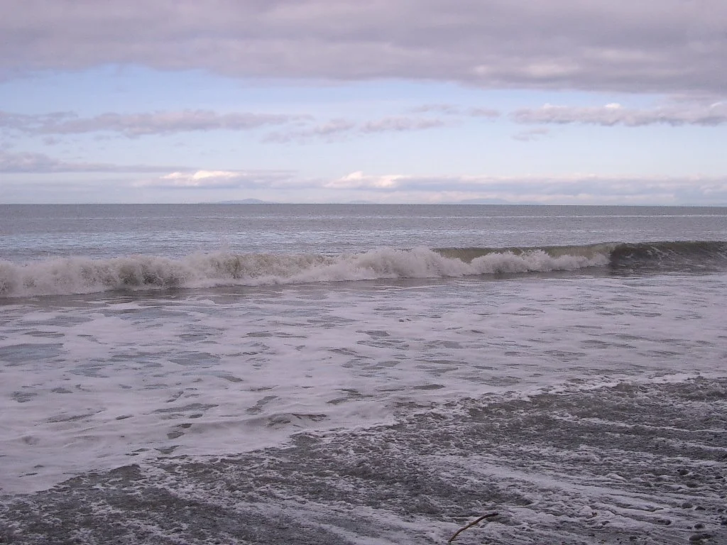 2004-3-12 LAKE FARM DAY AT THE BEACH (3).JPG