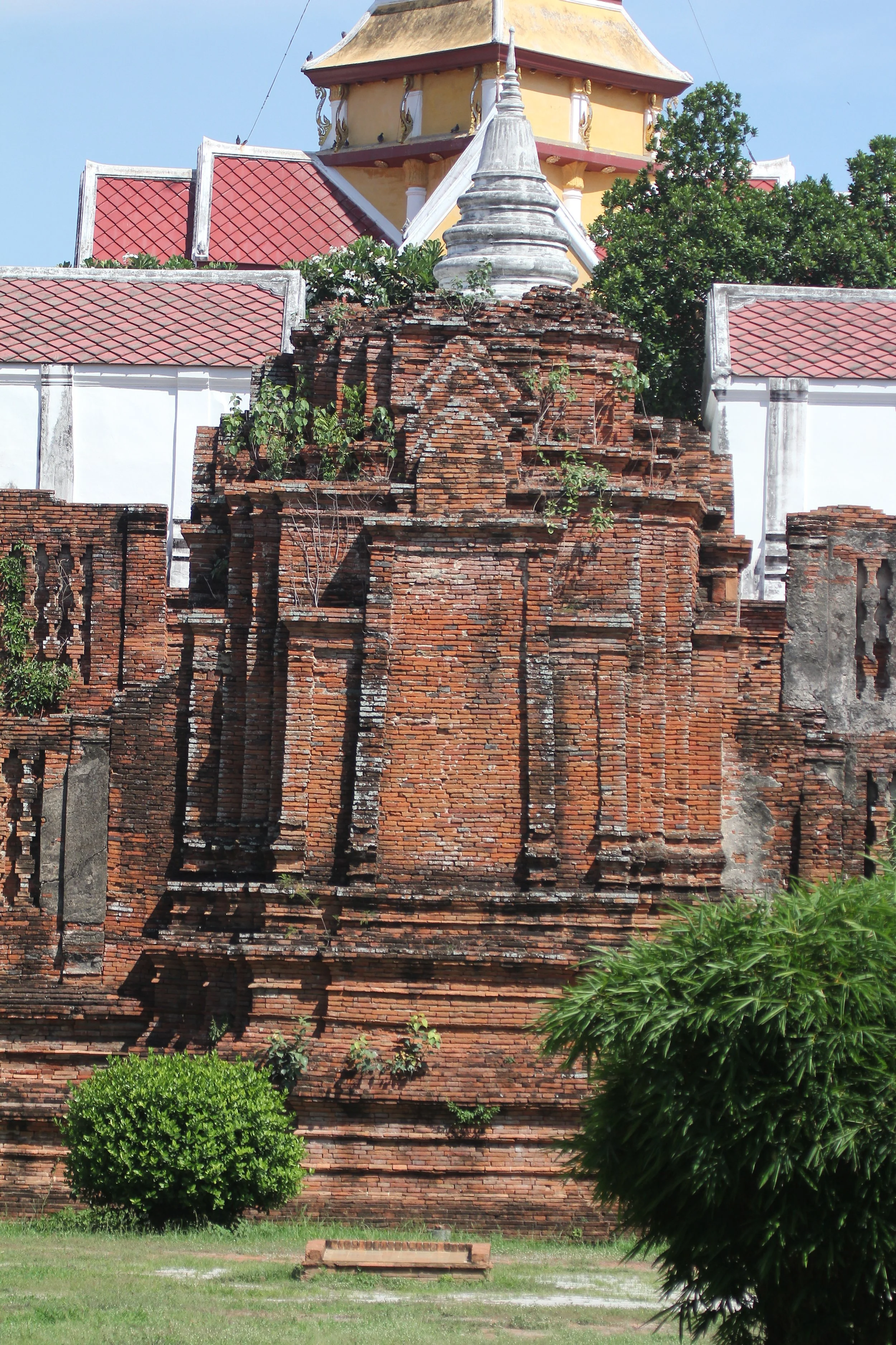 2020 - Ayutthaya Cokie's Pictures (221).JPG