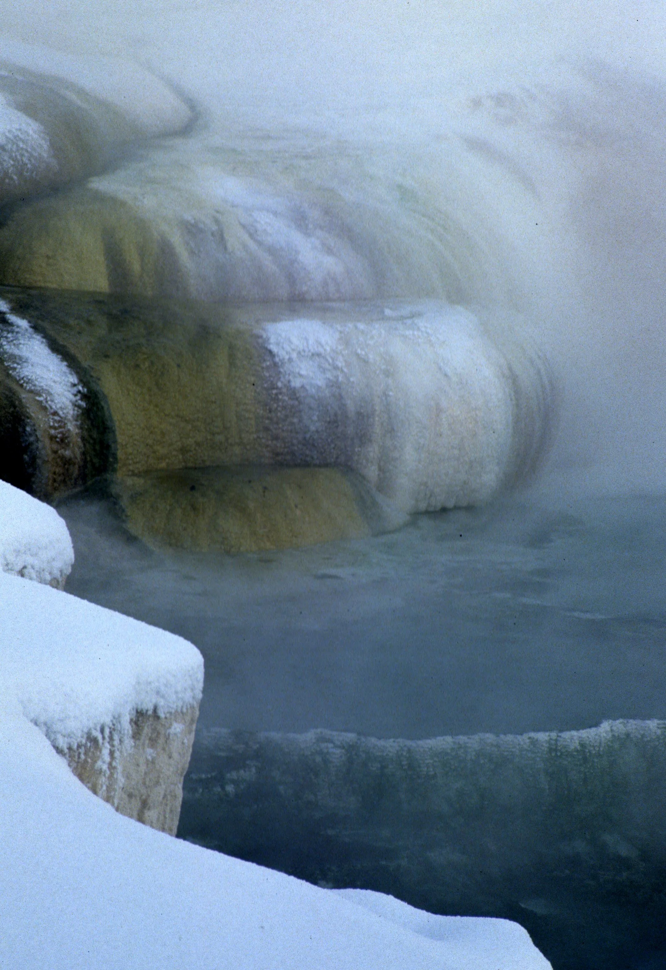 YELLOWSTONE IN WINTER - MAMMOTH HOTSPRINGS H.jpg