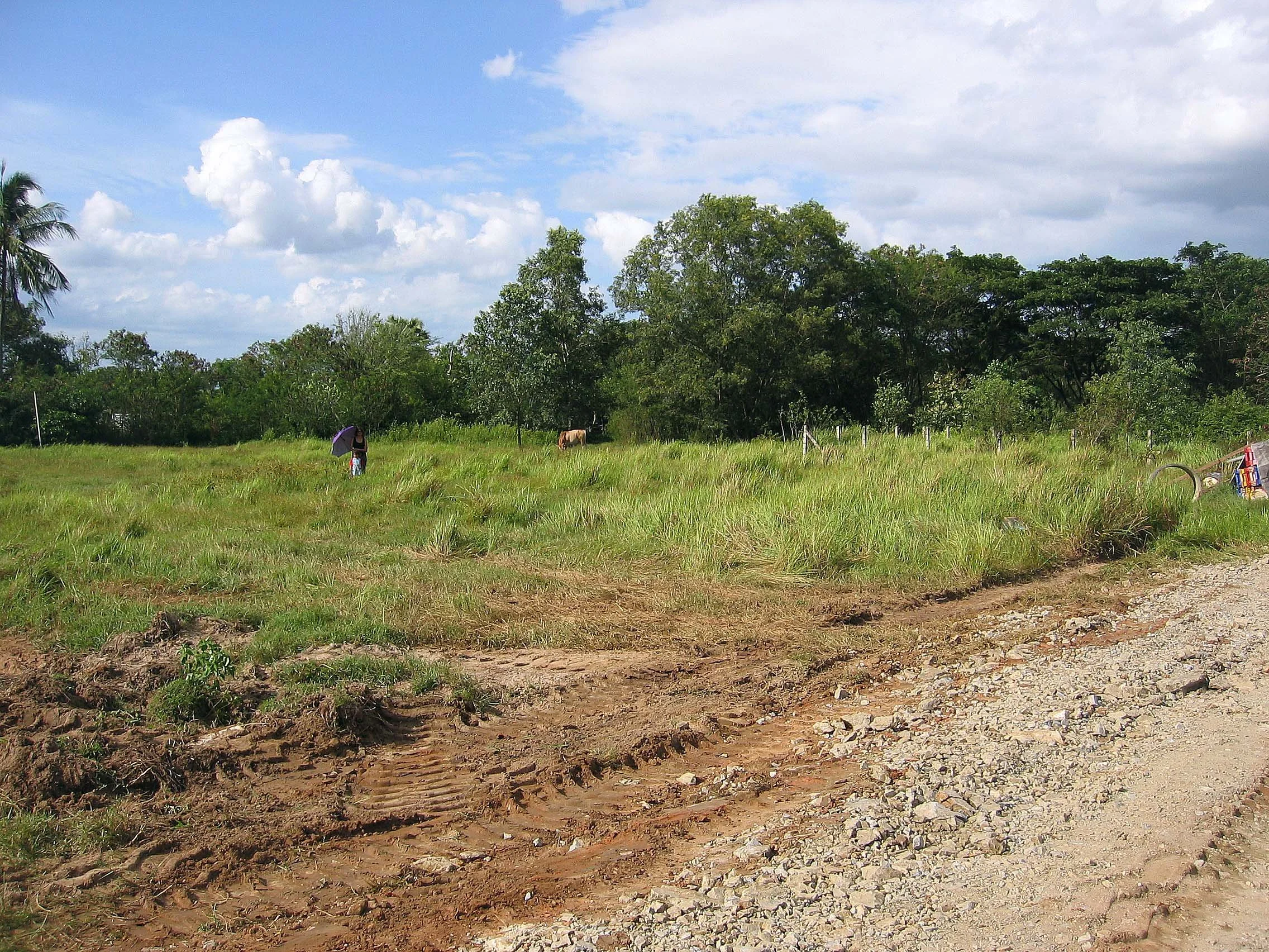 2005 Nakhonsithammarat Property near Tesco (14).JPG
