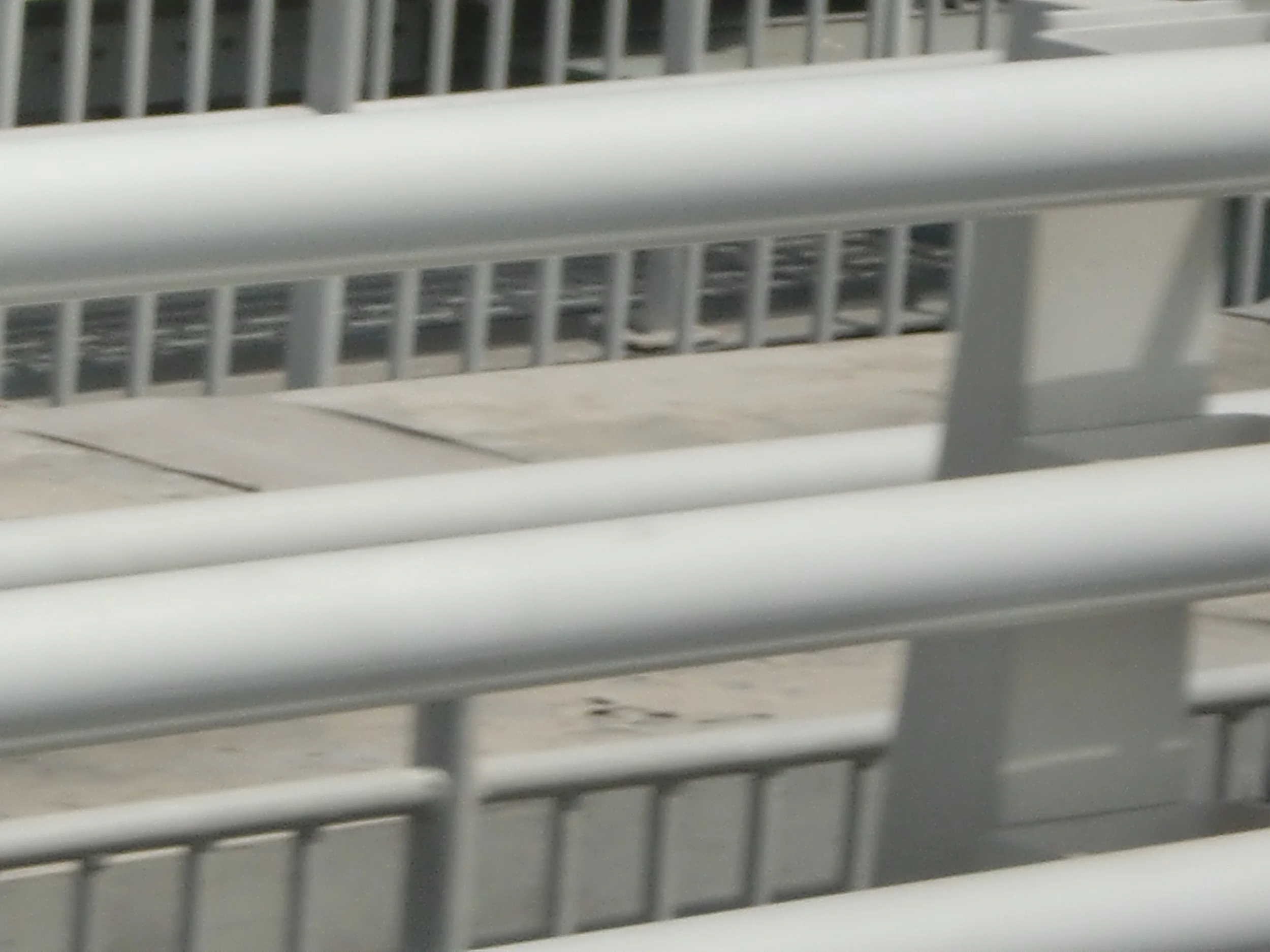 2011-5-17 COKIE'S FIELD TRIP TO CHONGMING ISLAND - COKIES IMAGES ALL (60).JPG