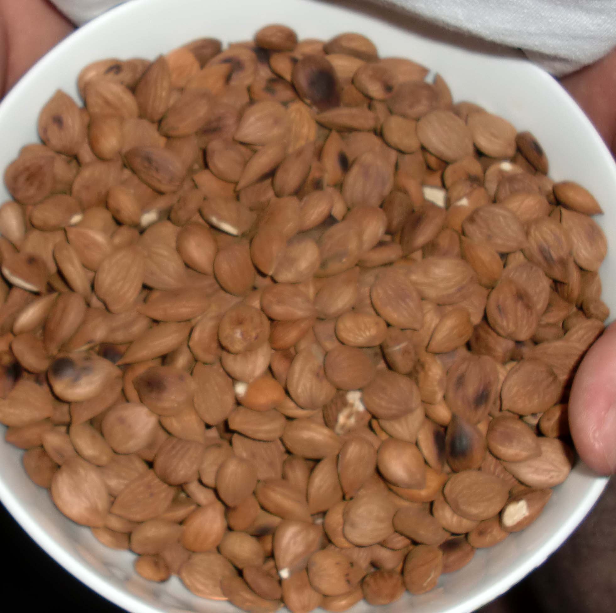 KRUP PAU! OCTOBER NATIONAL HOLIDAYS (4).JPG