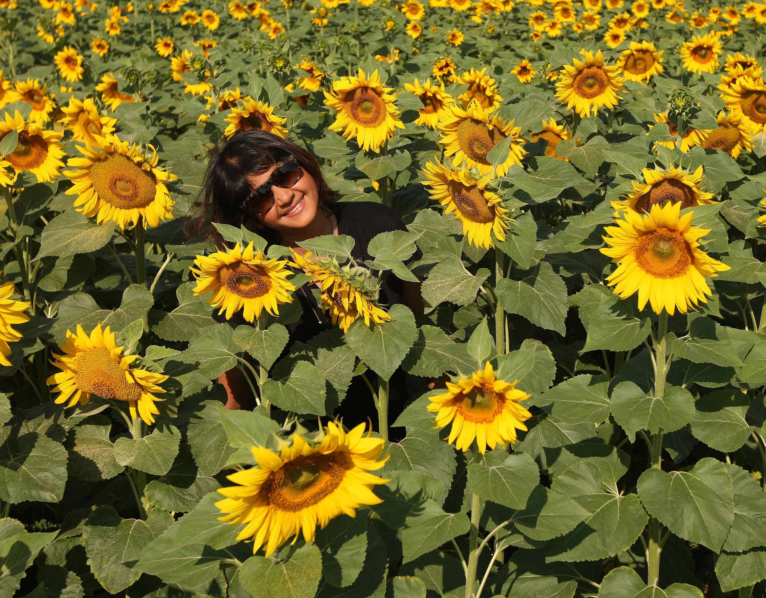 VERCORS NATIONAL PARK FRANCE (76).JPG