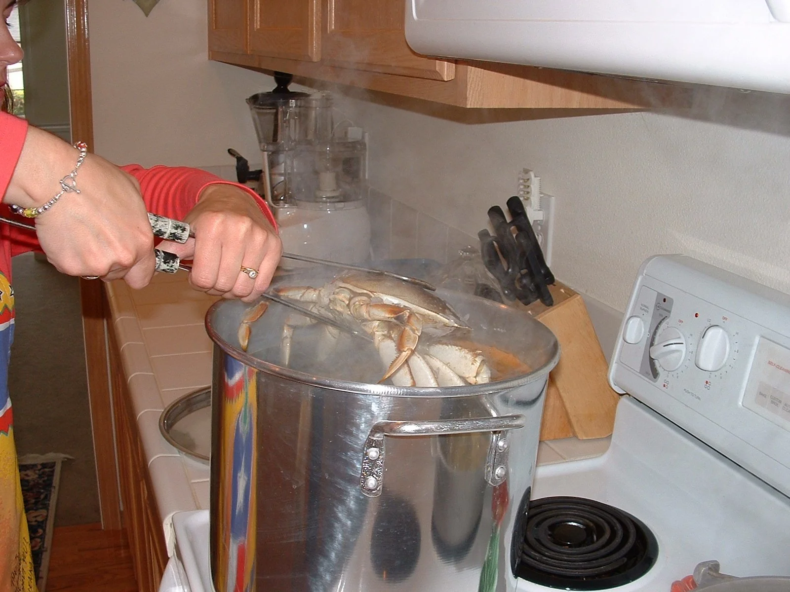 2003-8-1 WASHINGTON VISIT FROM ROBINSONS ET AL (192).JPG