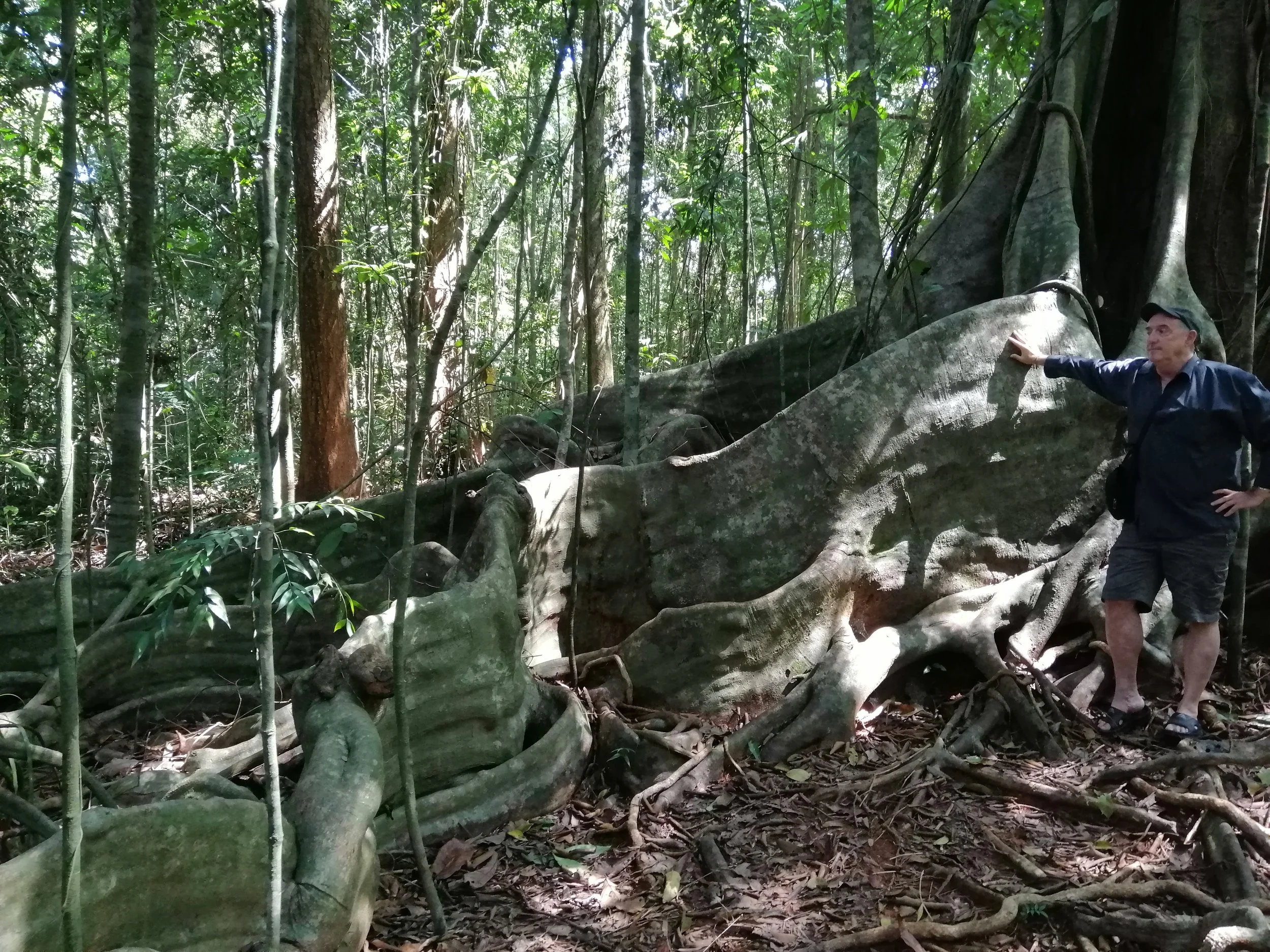 2019 Koh Kood Road Trip (47).jpg