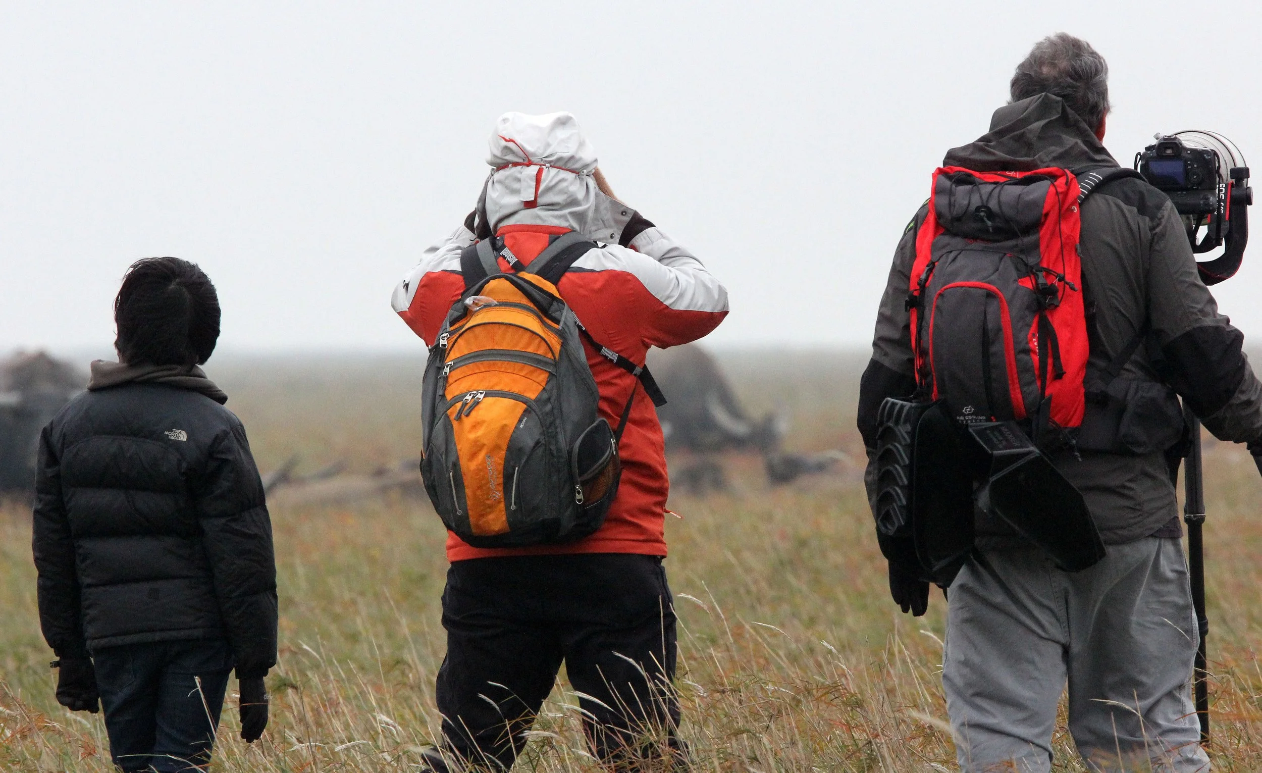 POYANG LAKE JIANGXI PROVINCE CHINA (46).JPG