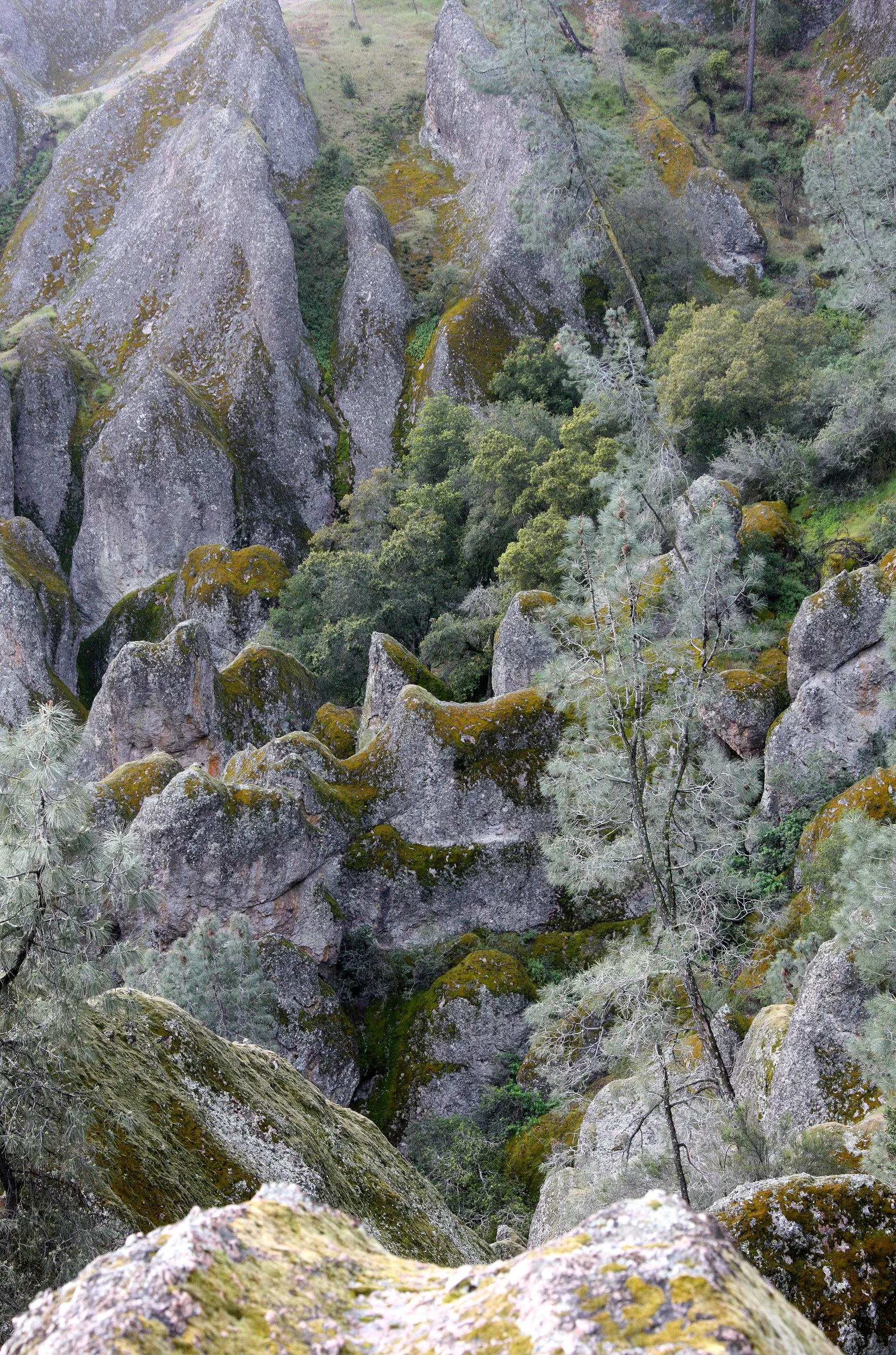 PINNACLES NATIONAL MONUMENT CALIFORNIA - VIEWS OF THE REGION (26).JPG