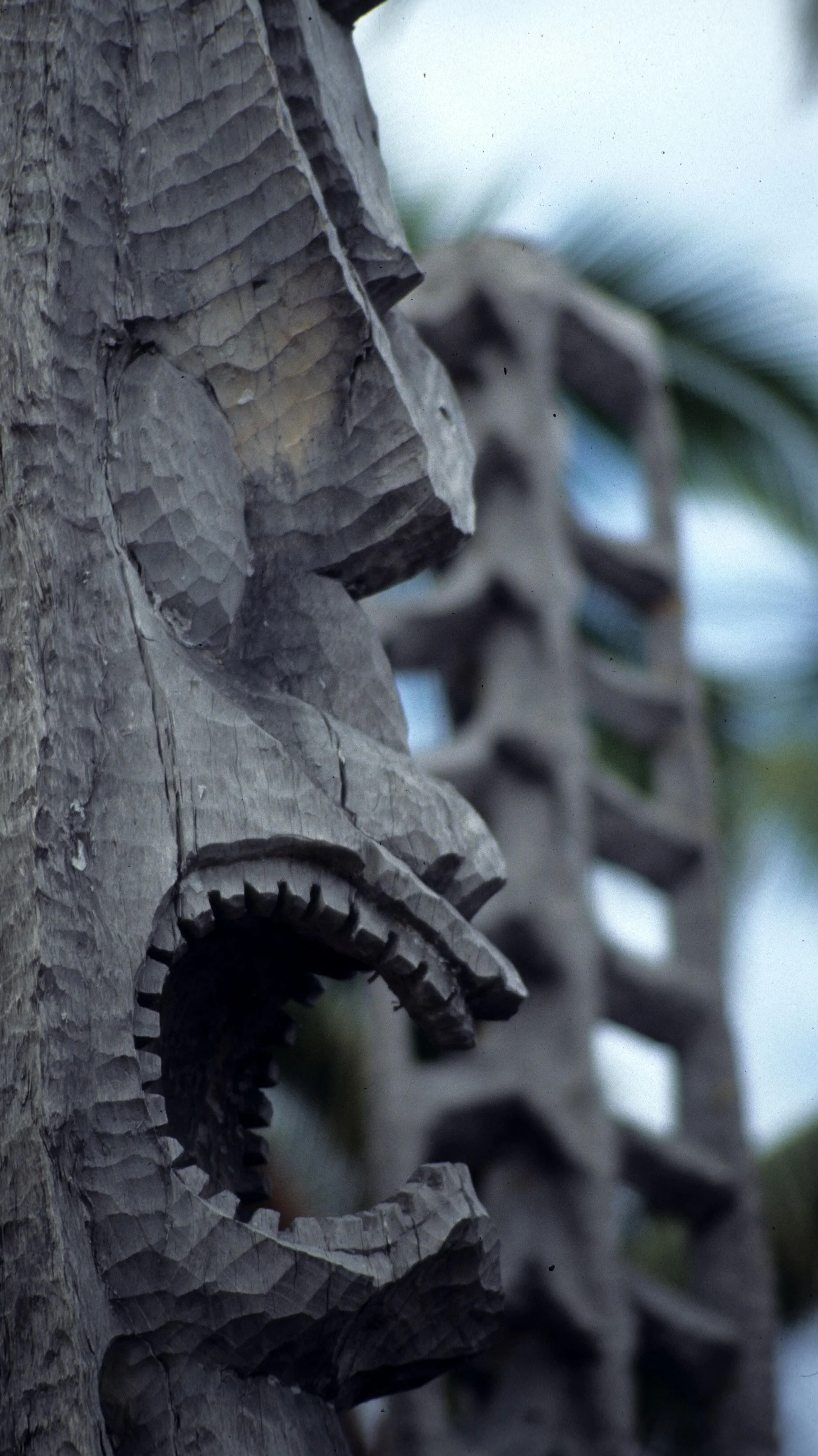 HAWAII - HAWAII - HEIAU.jpg