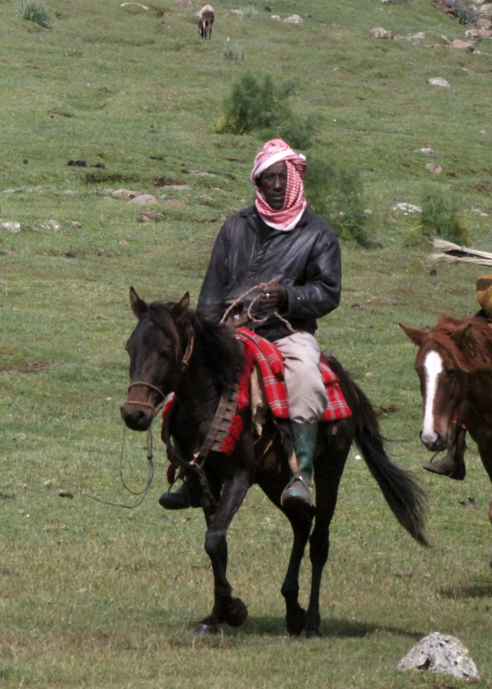 BALE MOUNTAINS NATIONAL PARK ETHIOPIA - GAYSAY GRASSLANDS (13).JPG