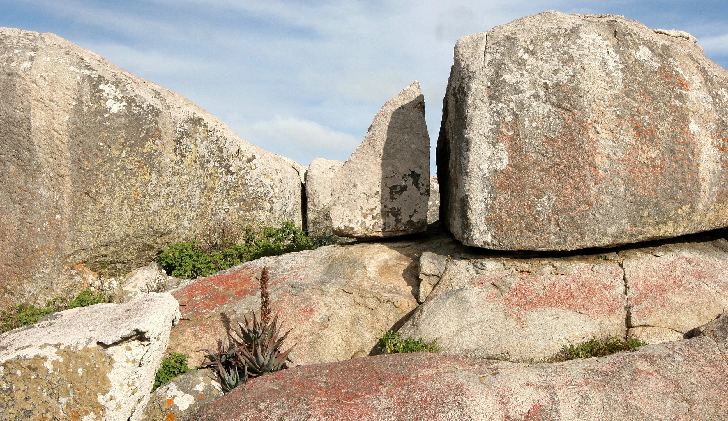 WEST COAST NATIONAL PARK SOUTH AFRICA - VIEWS (5).JPG