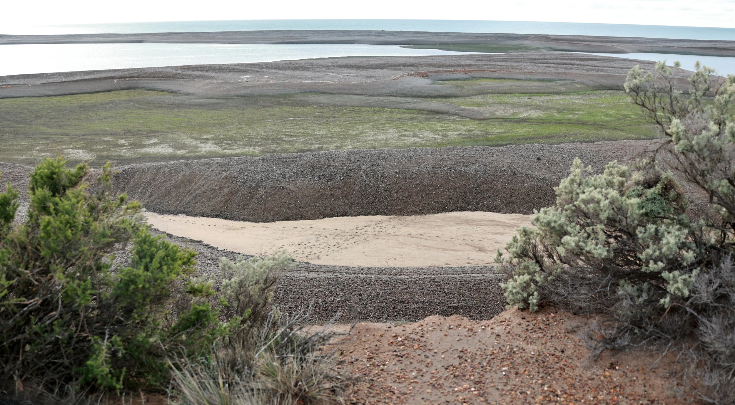 Valdes Peninsula, Chubut Province, Argentina (11).jpg