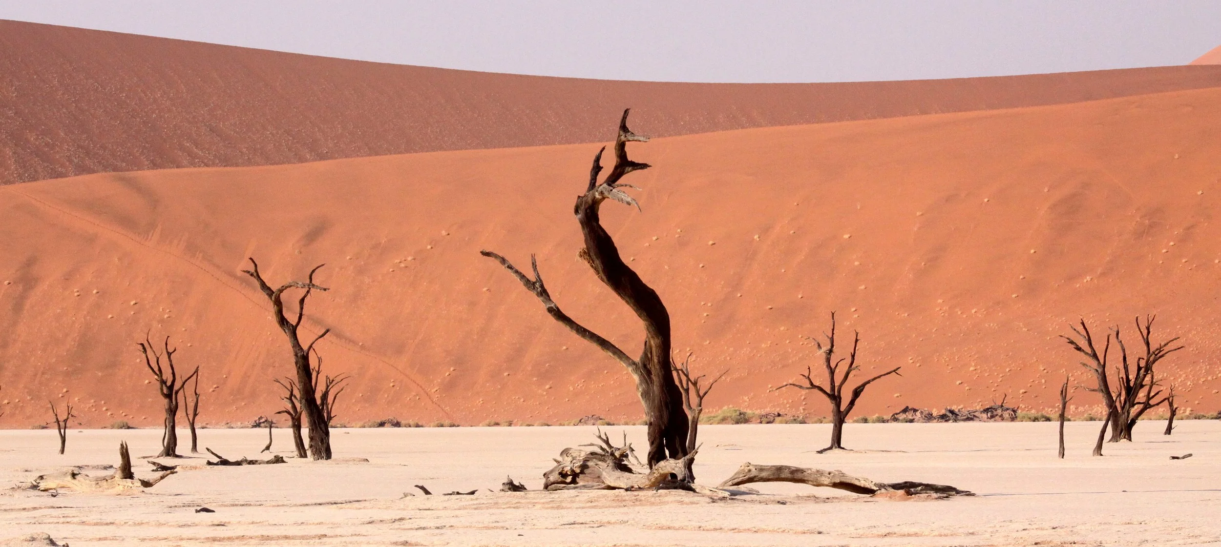 SOSSUSVLEI, NAMIB NAUKLUFT NATIONAL PARK, NAMIBIA - DEAD VLEI (7).JPG