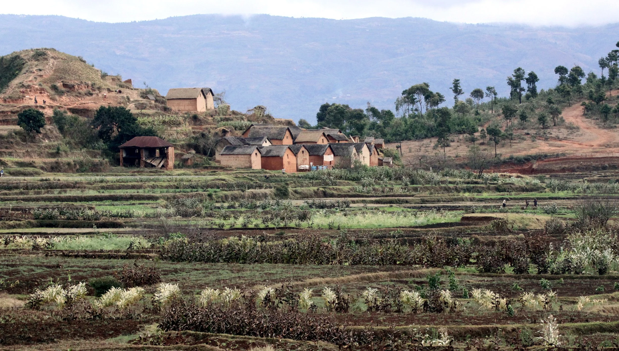 CENTRAL HIGHLANDS - ROAD TO RANOMAFANA (32).JPG