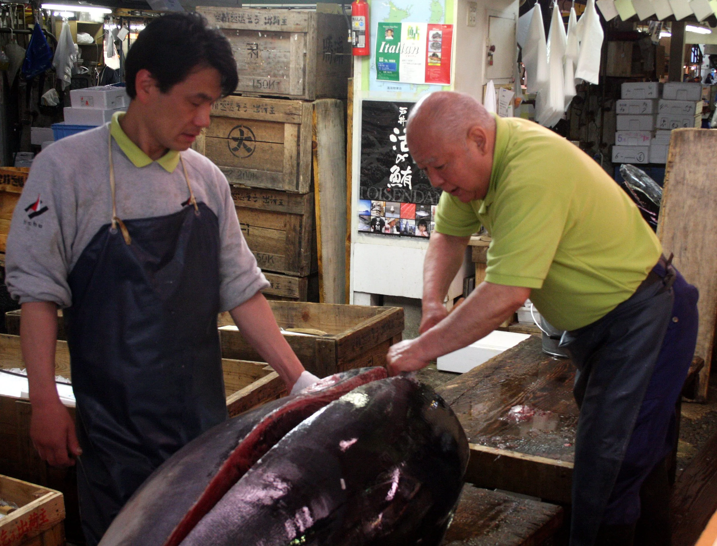 TOKYO - MAY 2009 - TSUKIJI MARKET (35).JPG