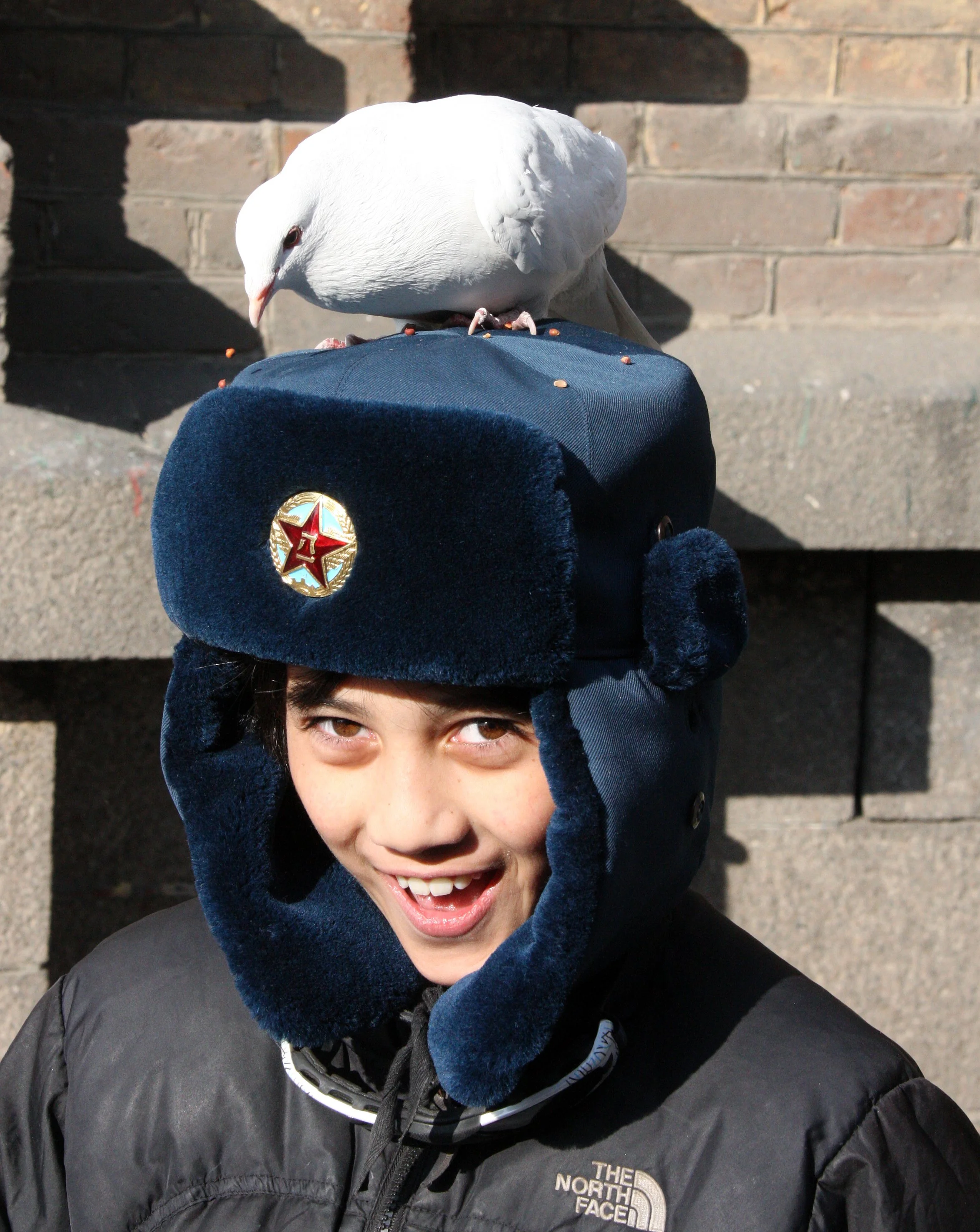 BIRD - PIGEON - HARBIN SAINT SOPHIA'S CATHEDRAL CHINA (77).JPG