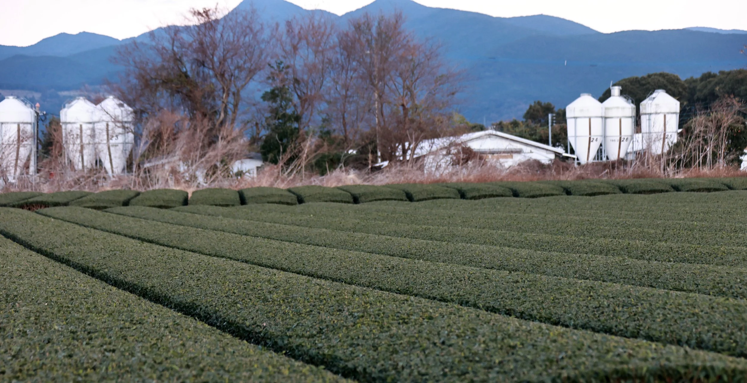 Izumi-Fumoto Samurai Residences, Kagoshima Japan (2).jpg
