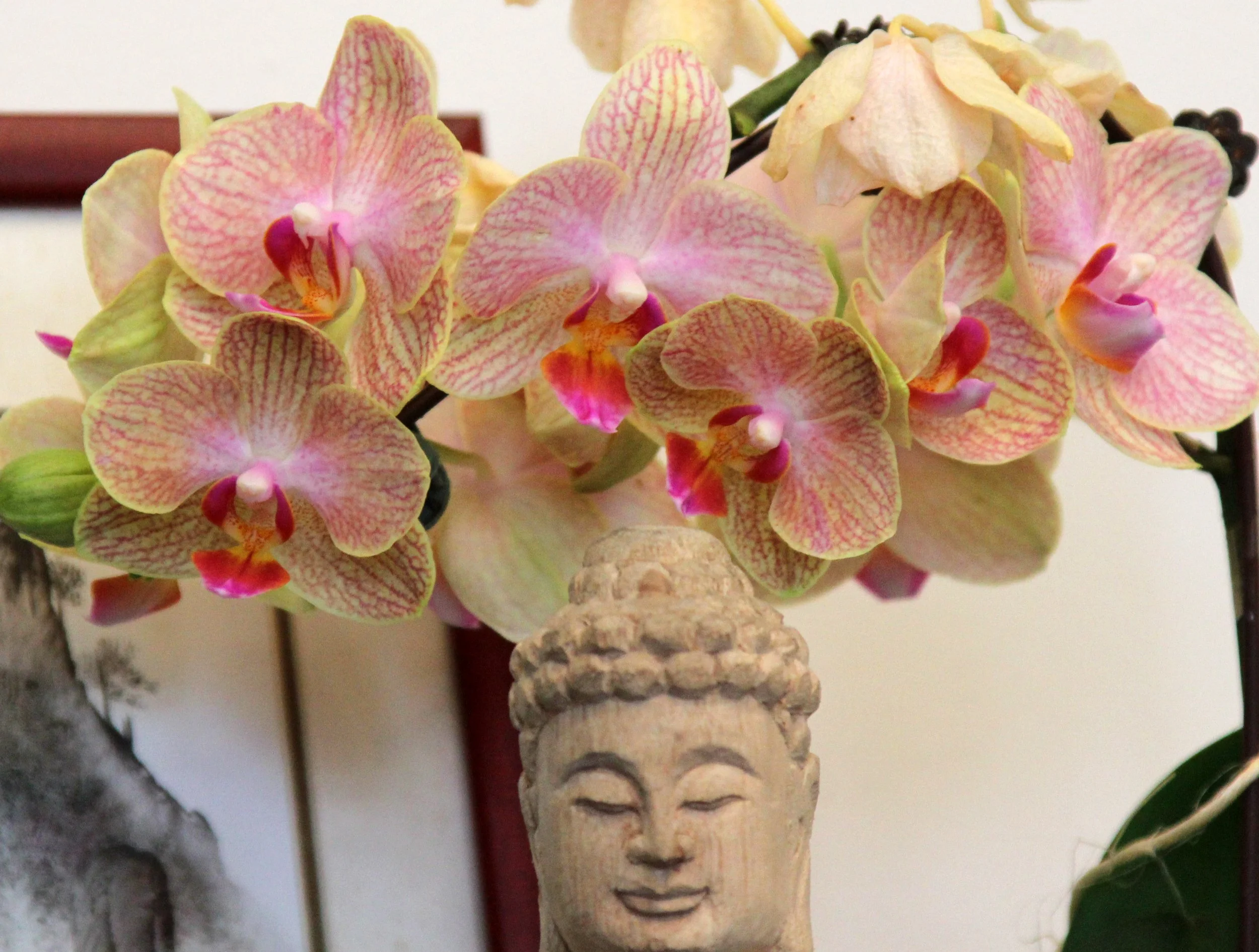 NIGHT OUT AT SHOOK WITH TAYA - MAY 30 2012 (51).JPG