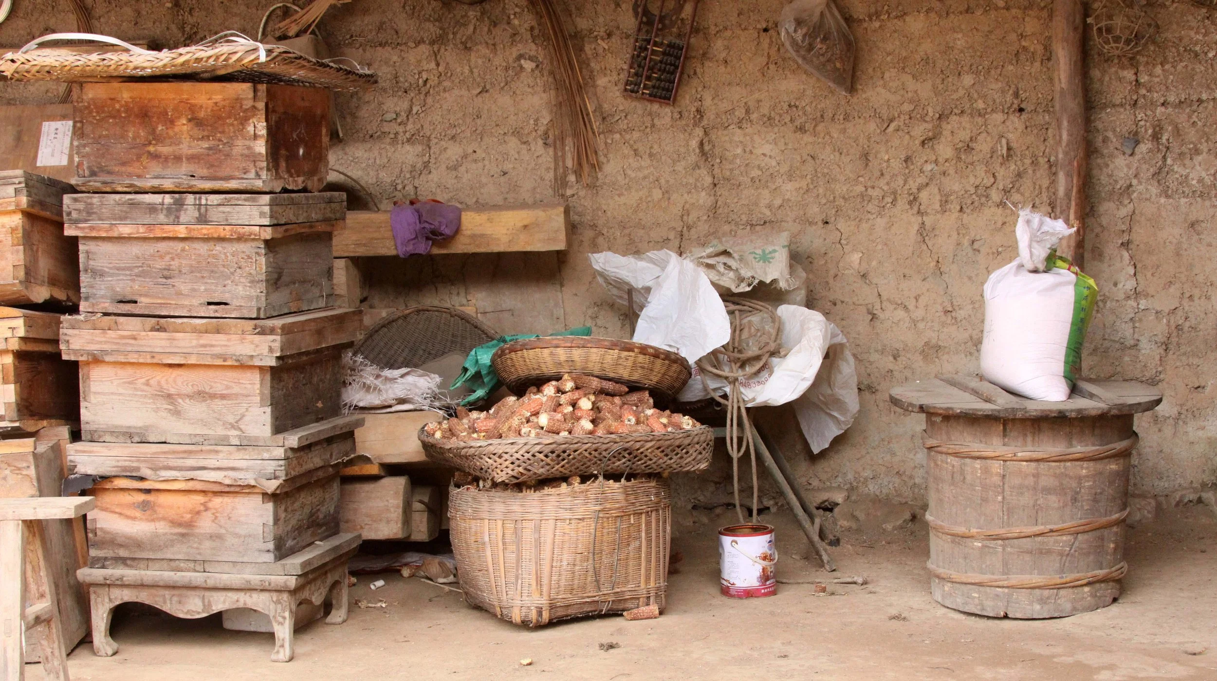 FOPING NATURE RESERVE - SHAANXI PROVINCE CHINA (236).JPG