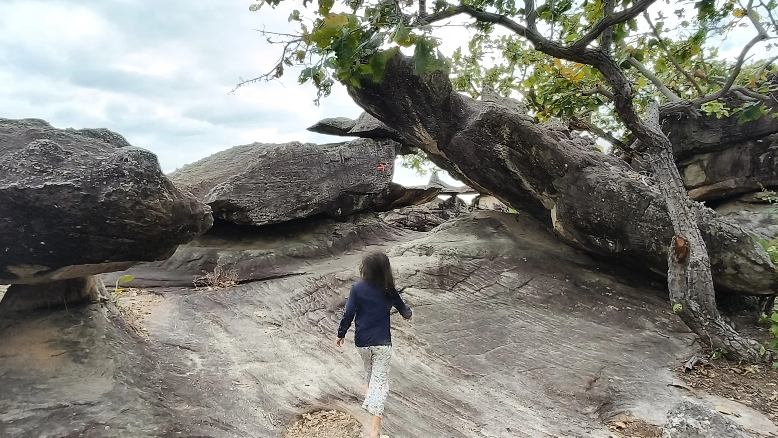  Phu Pha Thoep National Park - Mukdahan Thailand (42).jpg