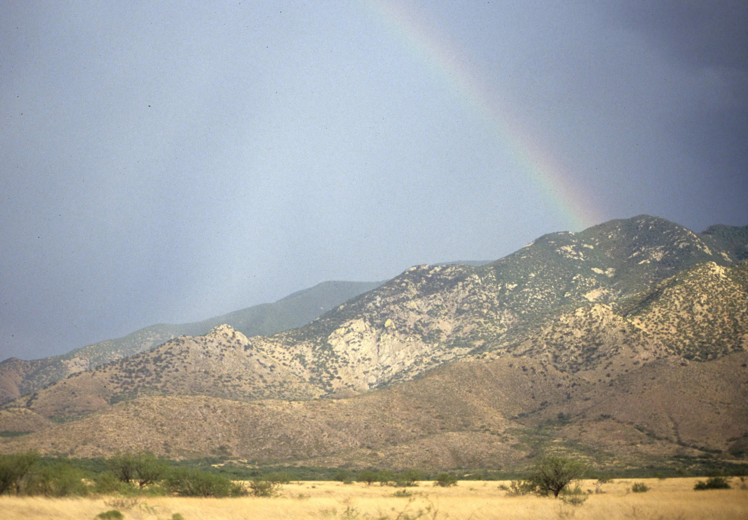 ARIZONA - MADERA CANYON - MONSOON RAINBOW A.jpg