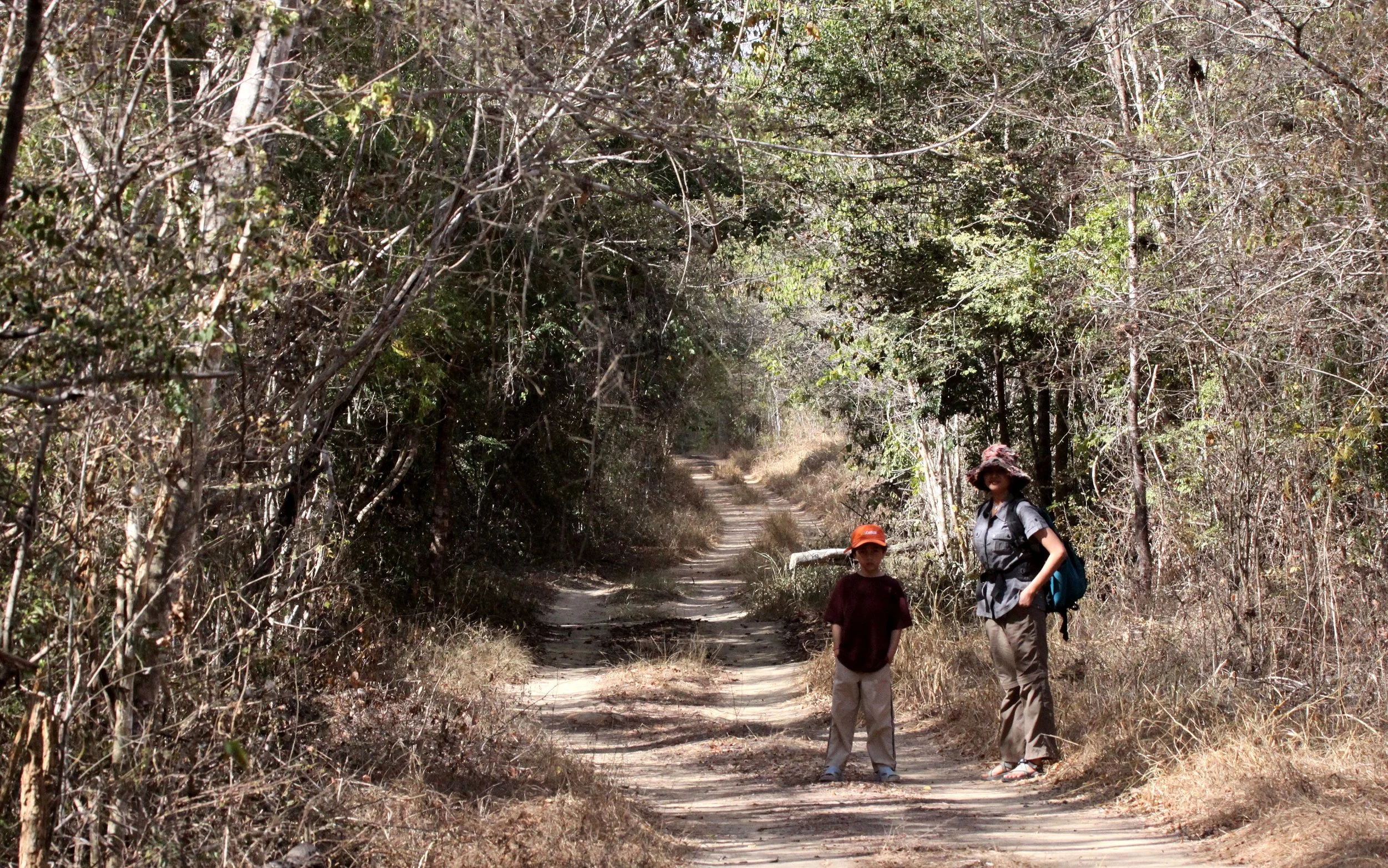 KIRINDY NATIONAL PARK - MADAGASCAR - TREKKING THE FOREST.JPG