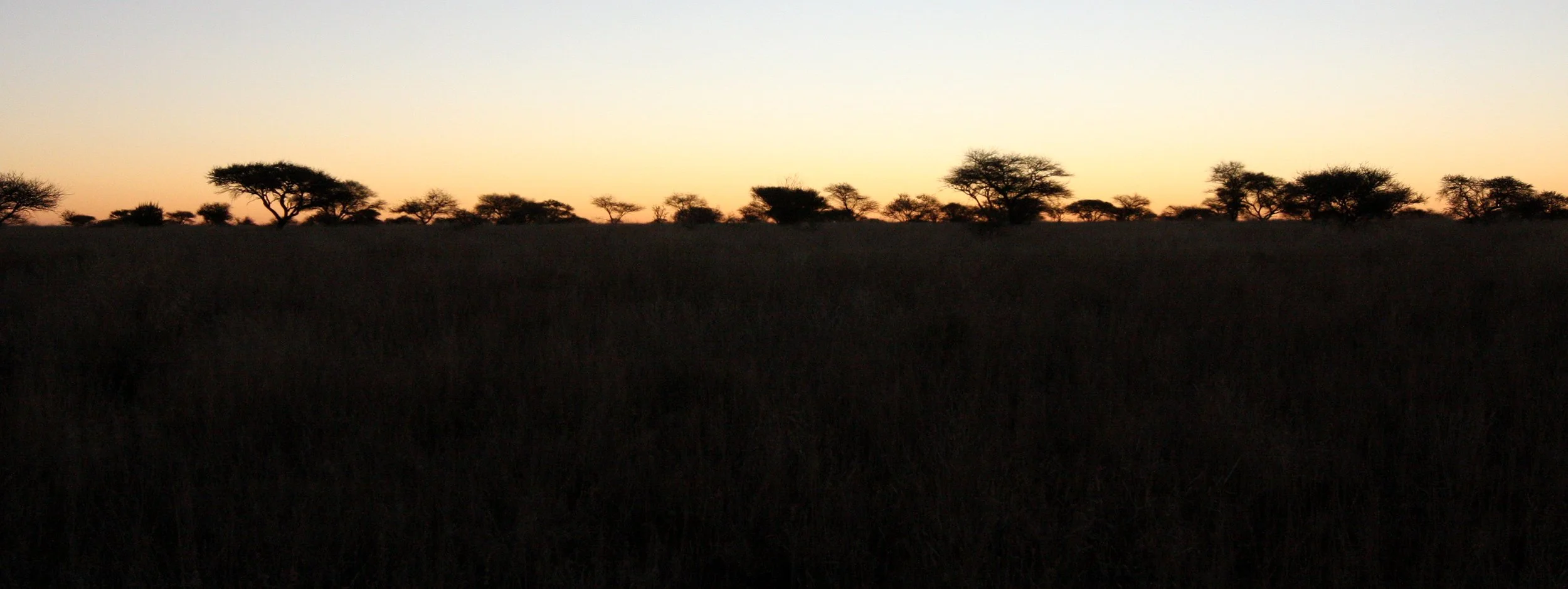 KIMBERLY SOUTH AFRICA - MARRICK CAMP (8).JPG