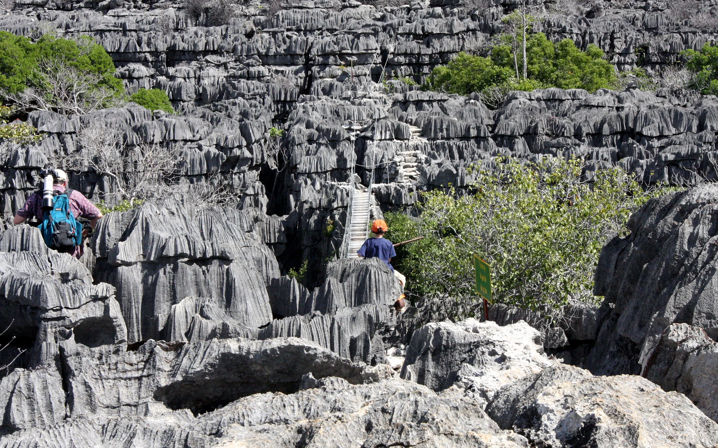 ANKARANA NATIONAL PARK MADAGASCAR - TSINGY FOREST (6).JPG