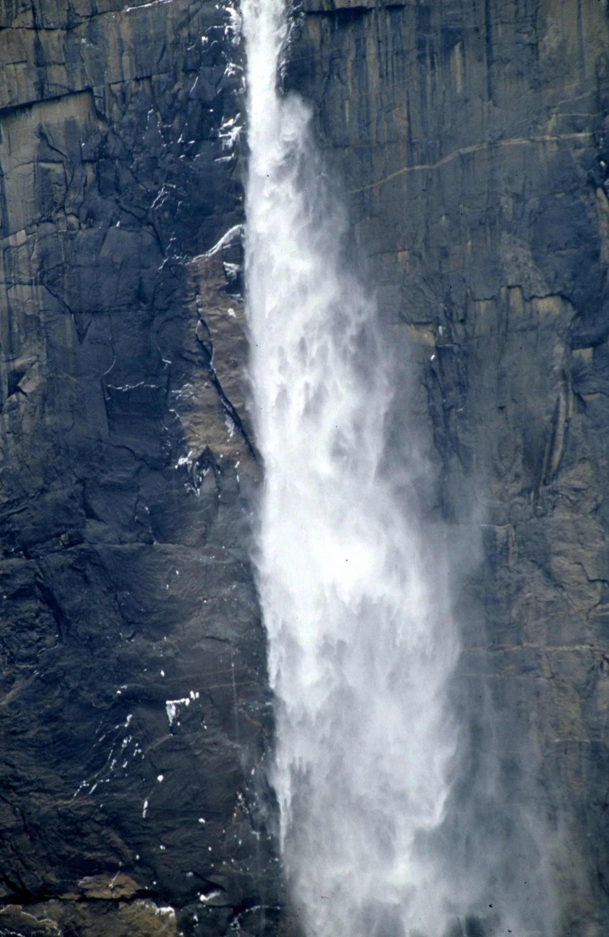 CALIFORNIA - YOSEMITE NATIONAL PARK (8).jpg