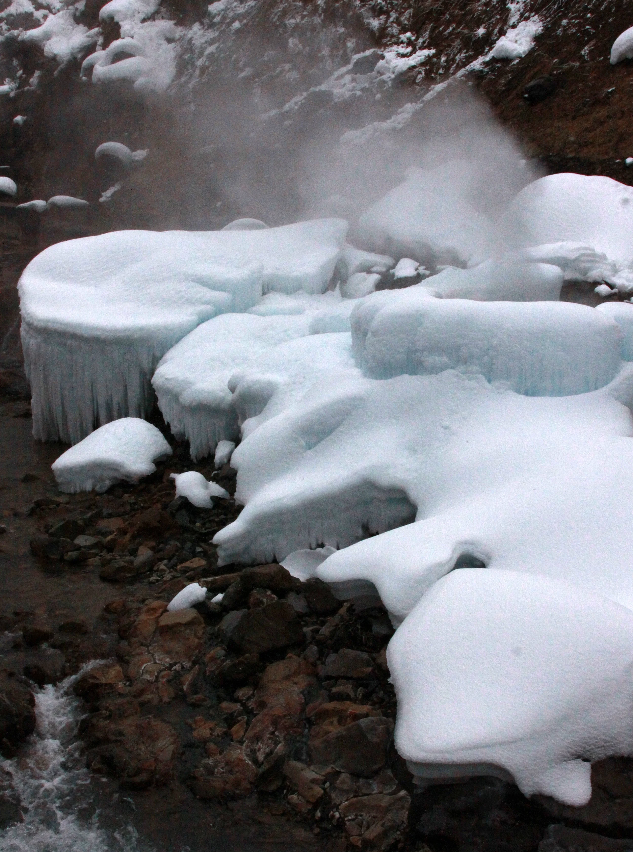 JIGOKUDANI ONSEN - NAGANO PREFECTURE JAPAN - FOREST SCENCES (4).JPG