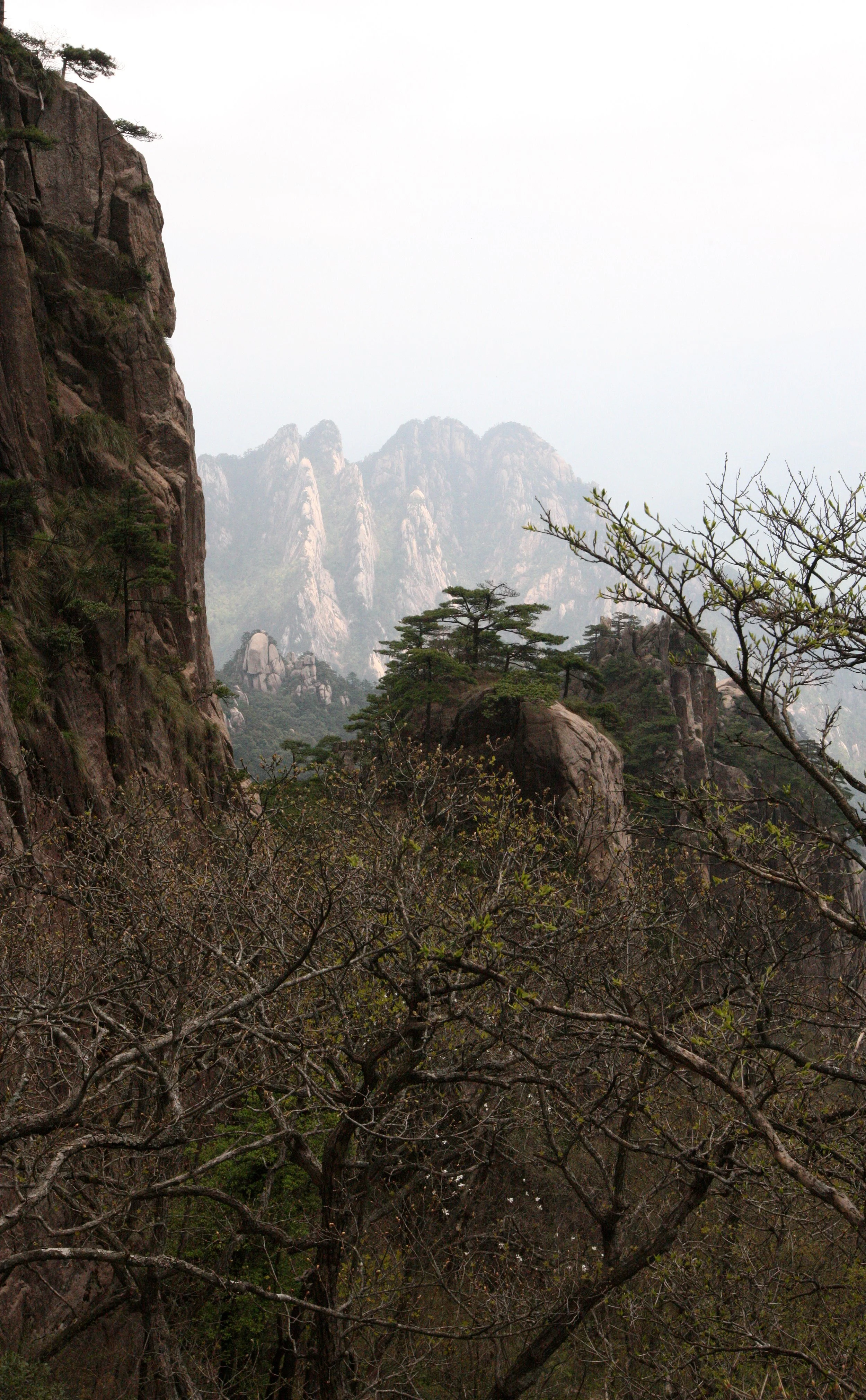 HUANGSHAN NATIONAL PARK ANHUI PROVINCE CHINA (20).JPG