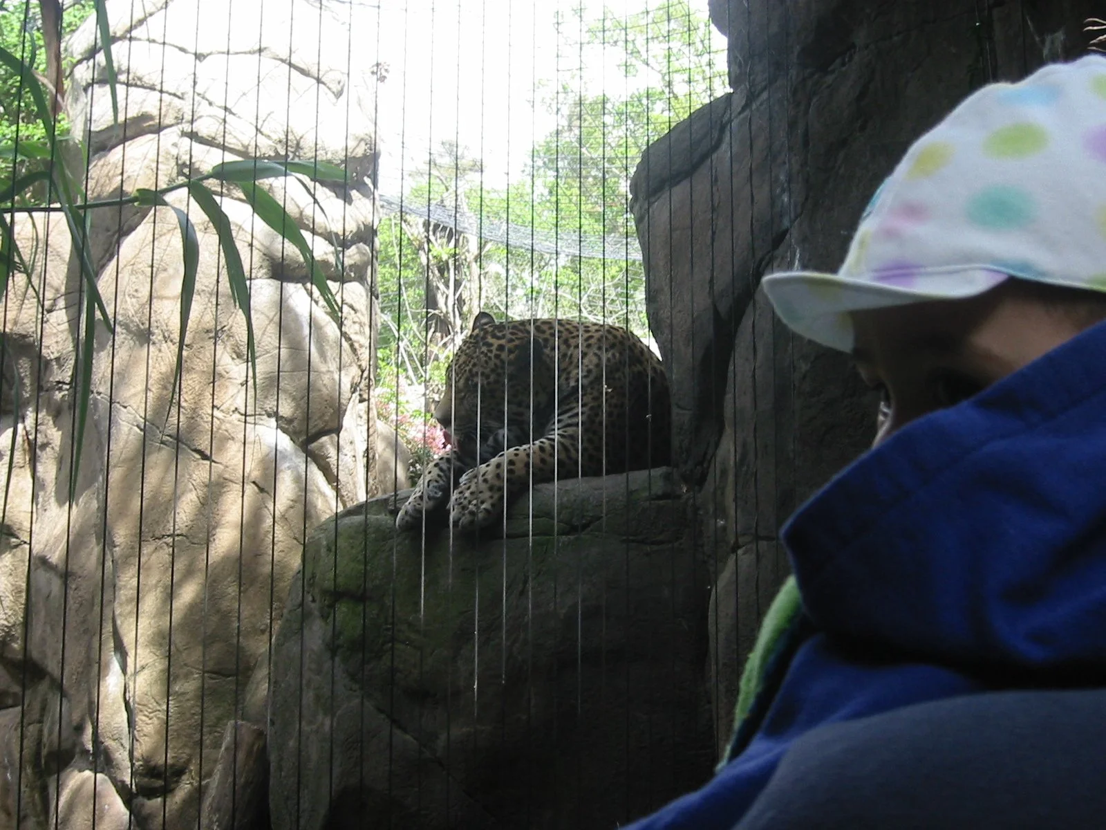 2003-4-1 SPRING TRIP TO SACRAMENTO (9).JPG